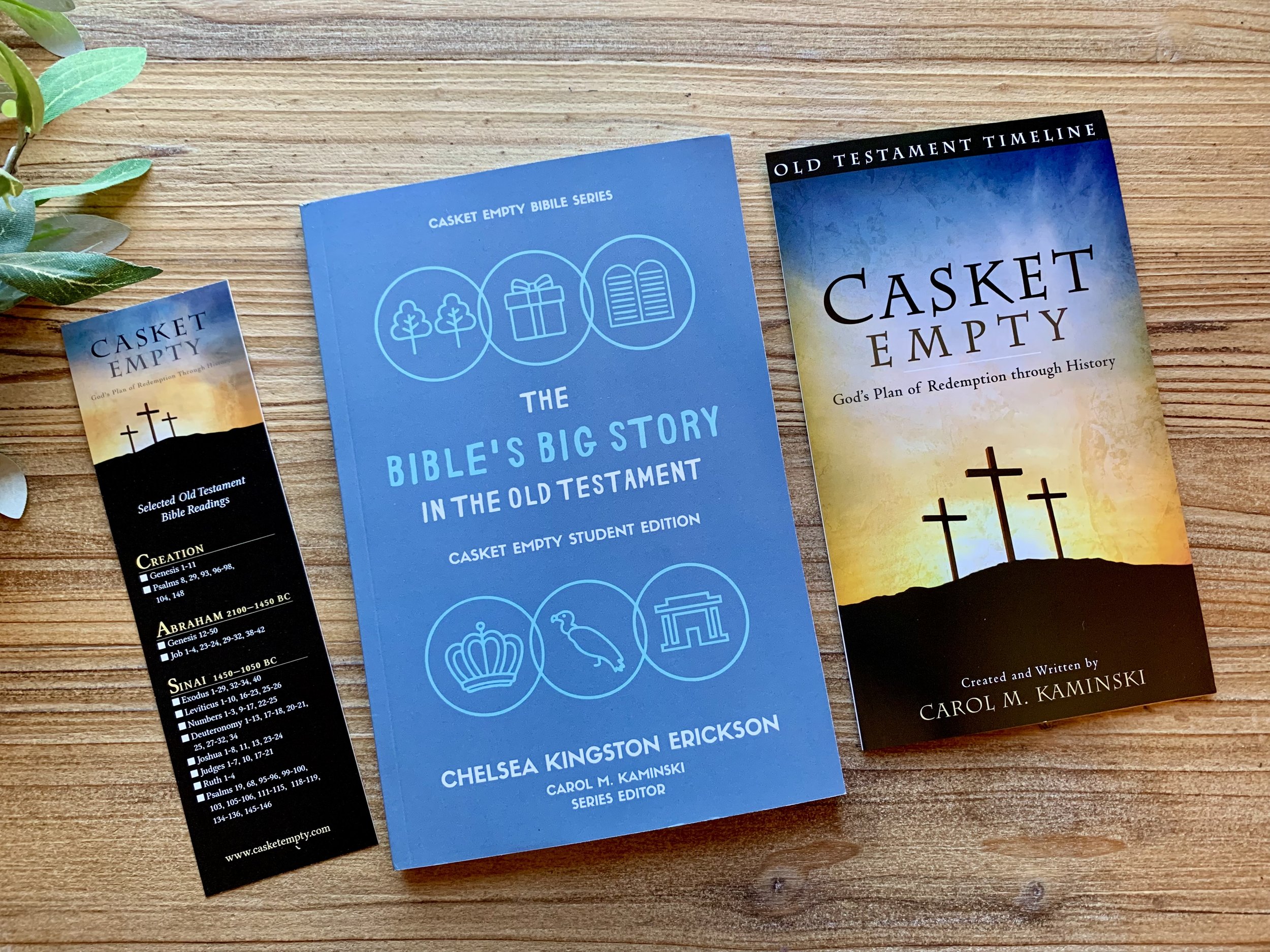 The Bible's Big Story Bundle: (retail $27.00) SALE $19.95