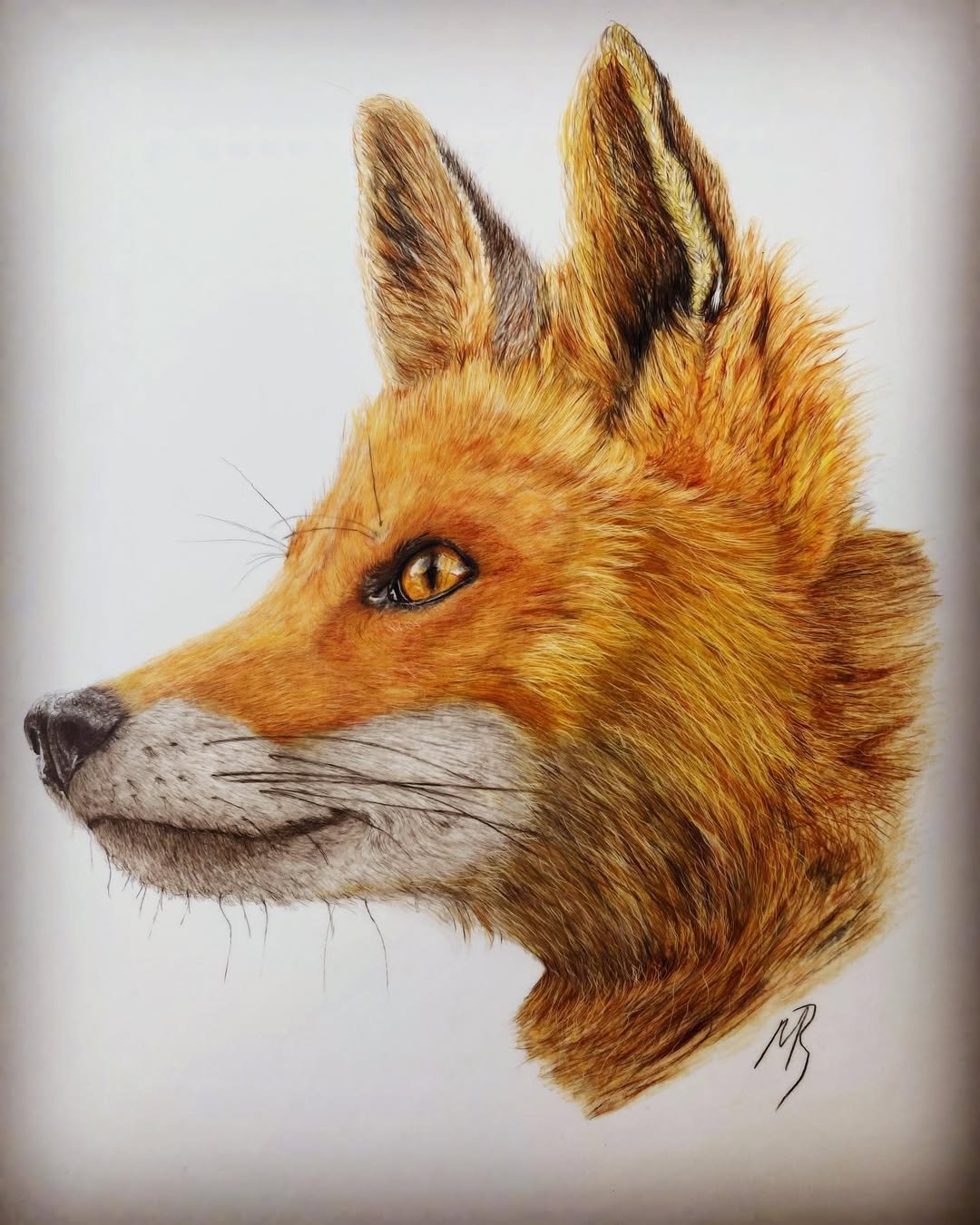 Can Anyone Learn to Draw?