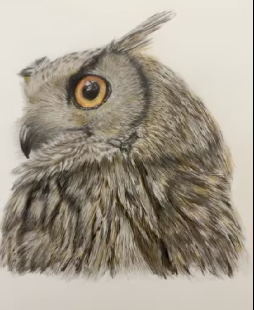 Pet Portrait Artist &amp; Private Art Lessons in South West London