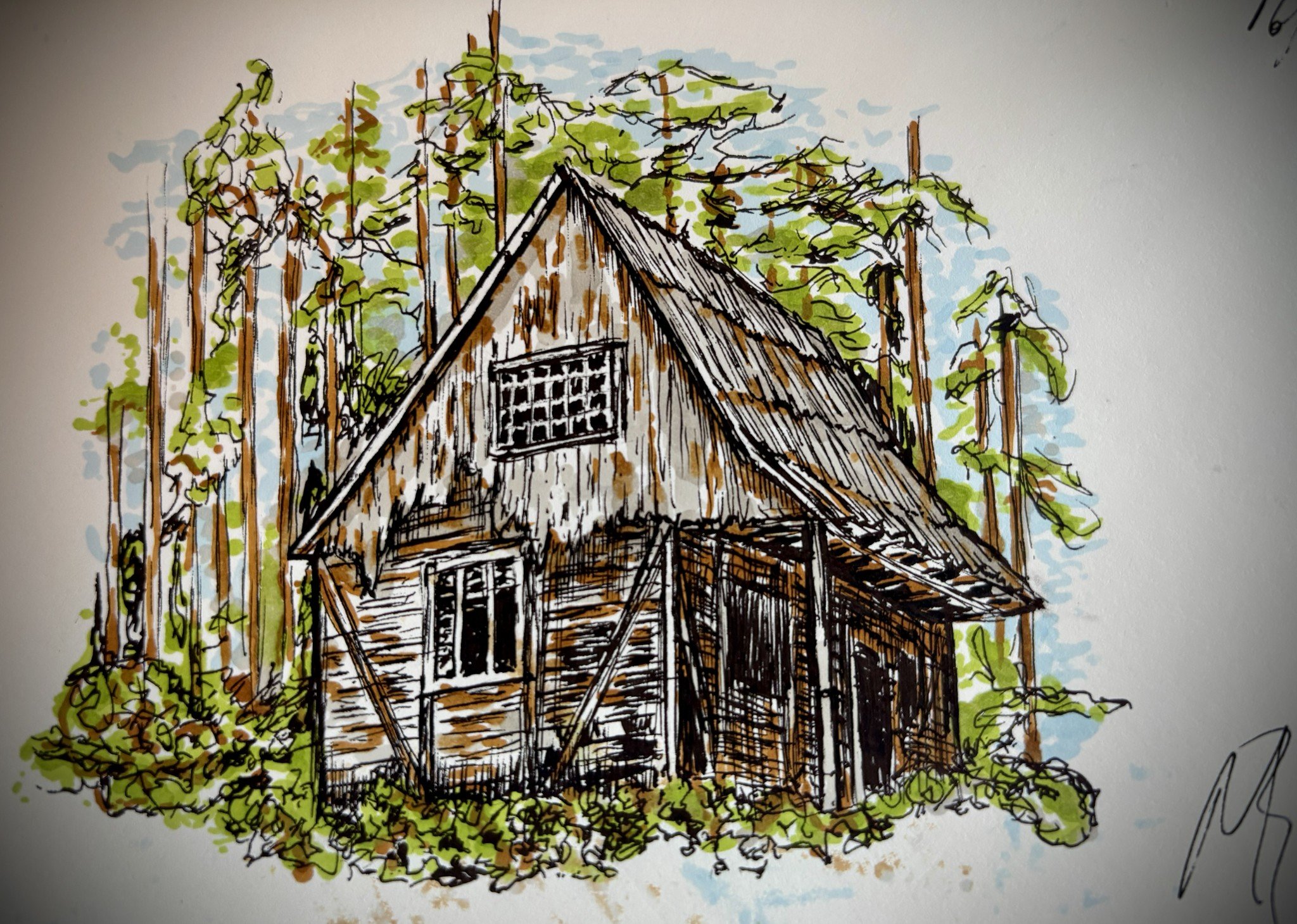 Ink and Colour Sketch Study