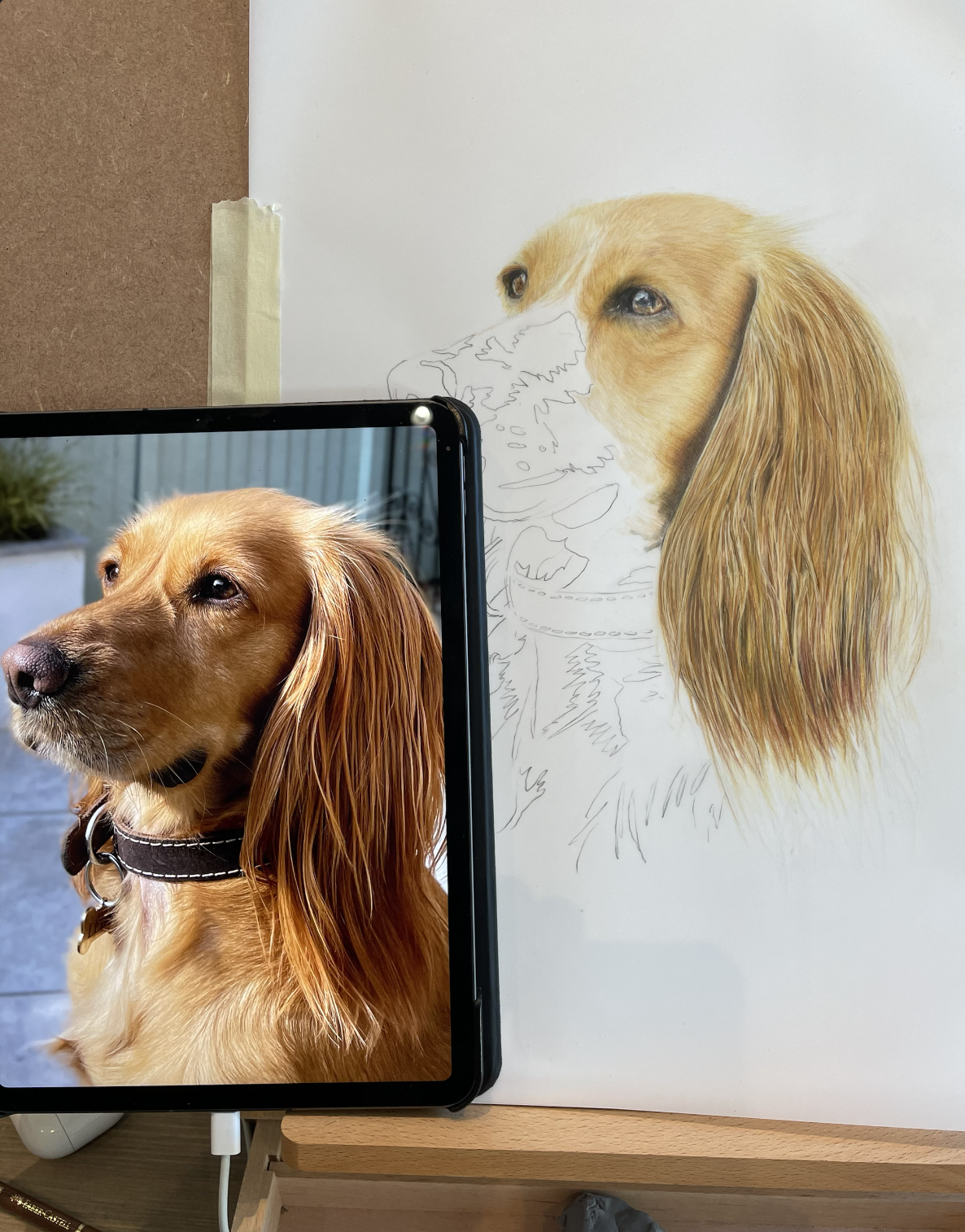 Hand Drawn Pet portrait of a dog by Mark Mannering Barton
