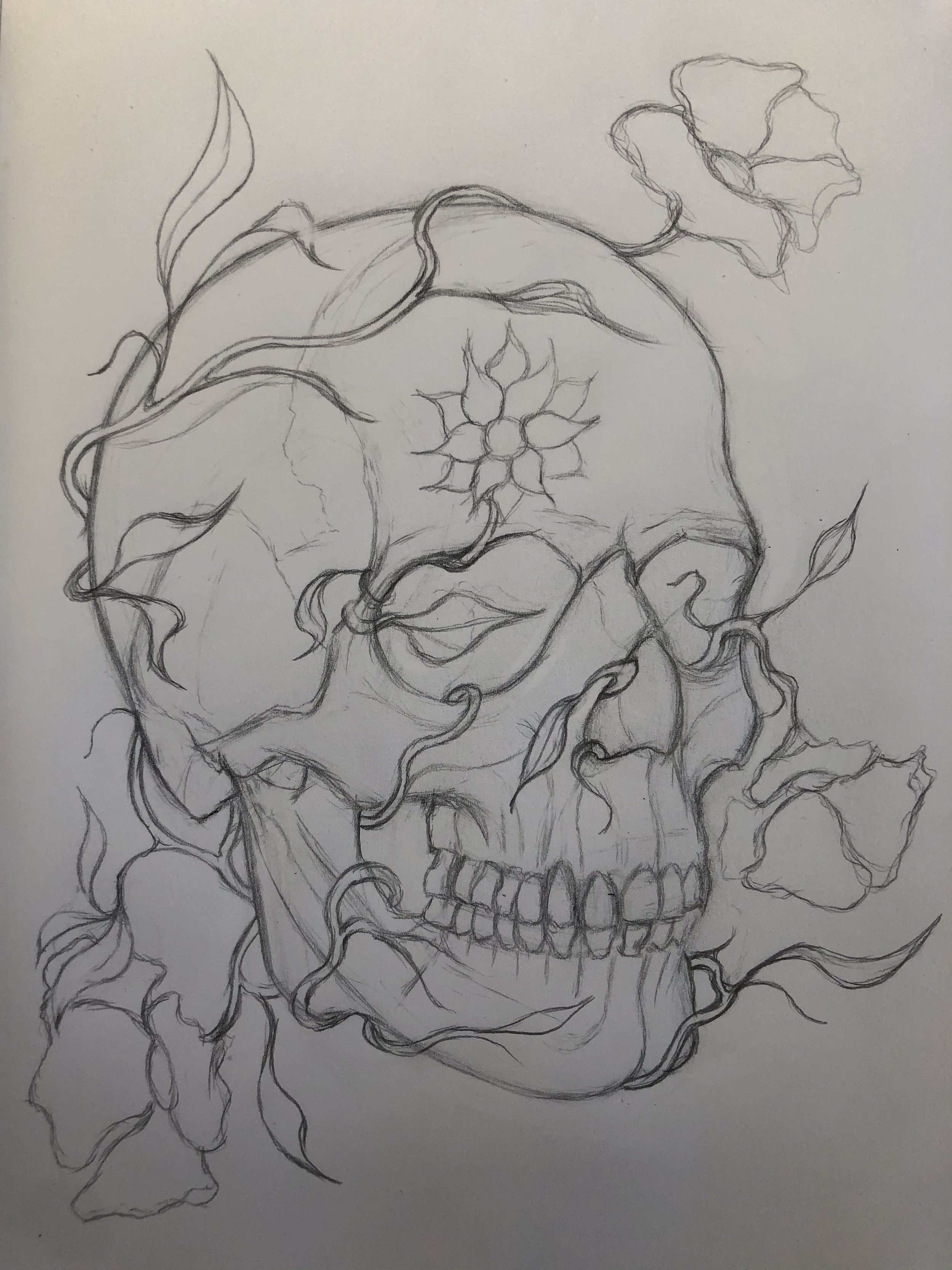 Why I Drew a Skull (And Why It Can Make You a Better Artist)