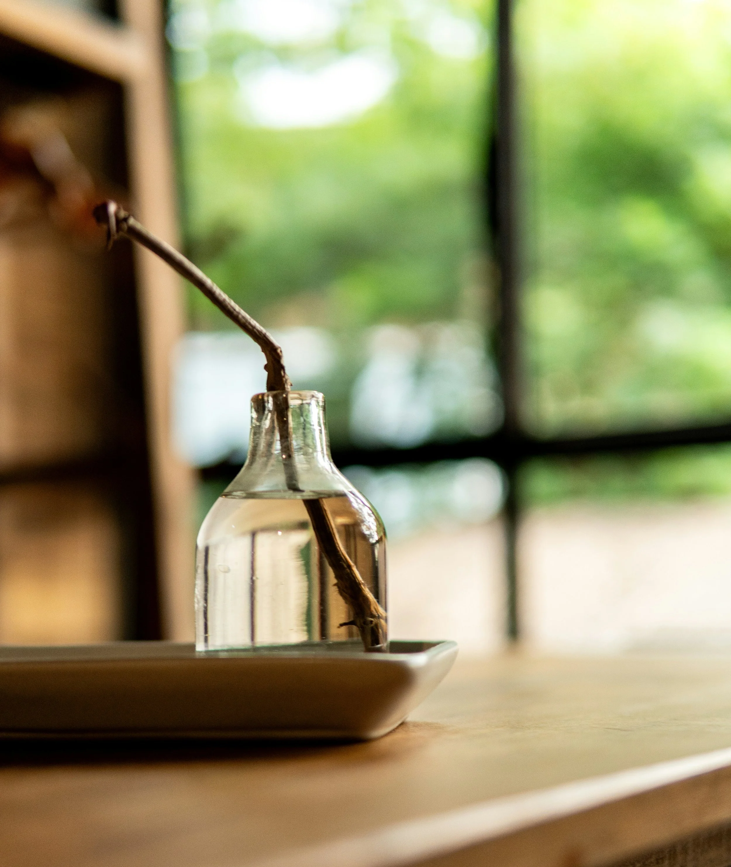A transparent glass bottle with a twig standing in soft window light