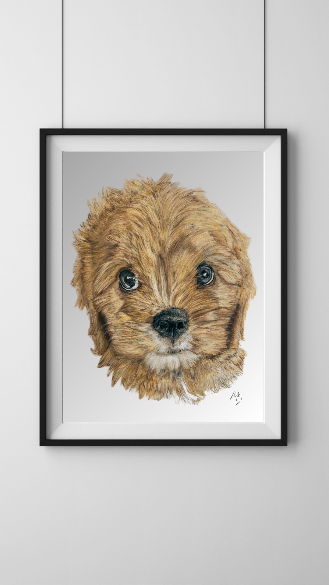 Cavapoo Dog custom pet portrait drawn in teddington south west London