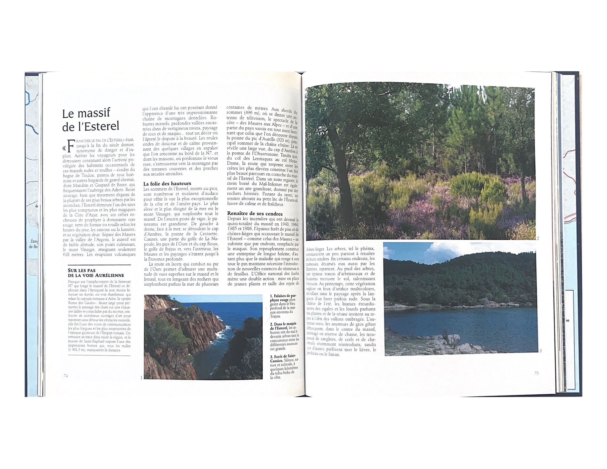 LAROUSSE 2_Page_2.png