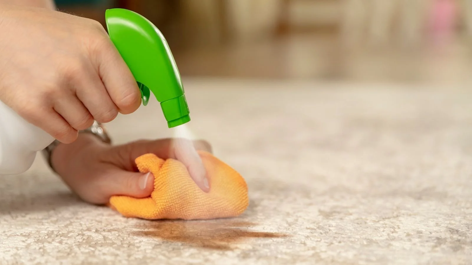 The Art of Stain Removal: Conquering Common Household Stains