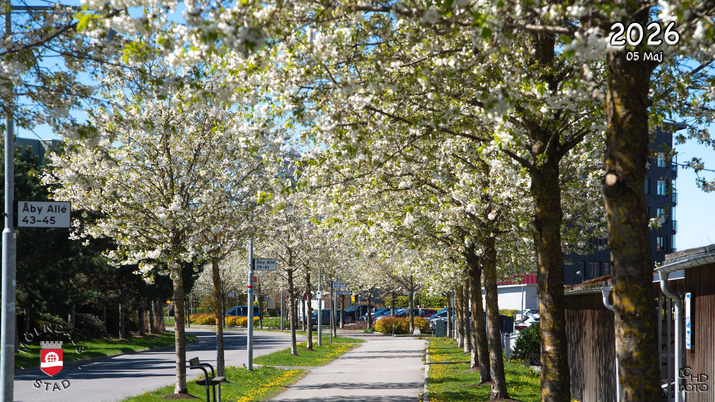 Mölndal_ 03.jpg