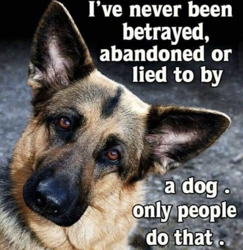 The Sweetest Moments…Friendship