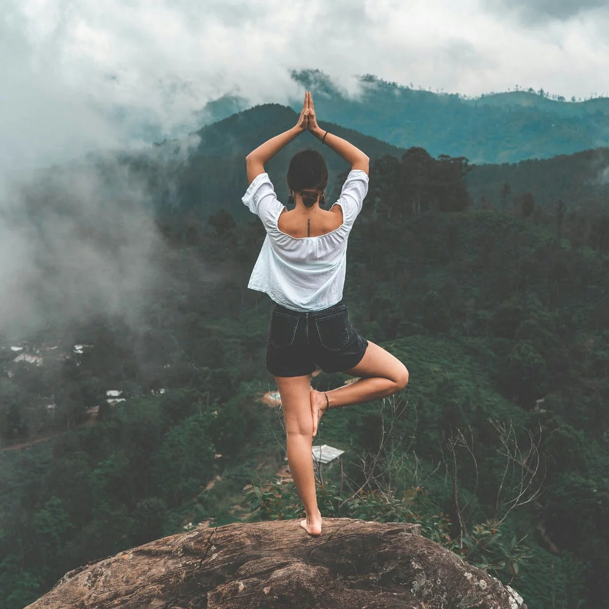 Reset, Learn, and Step Forward
