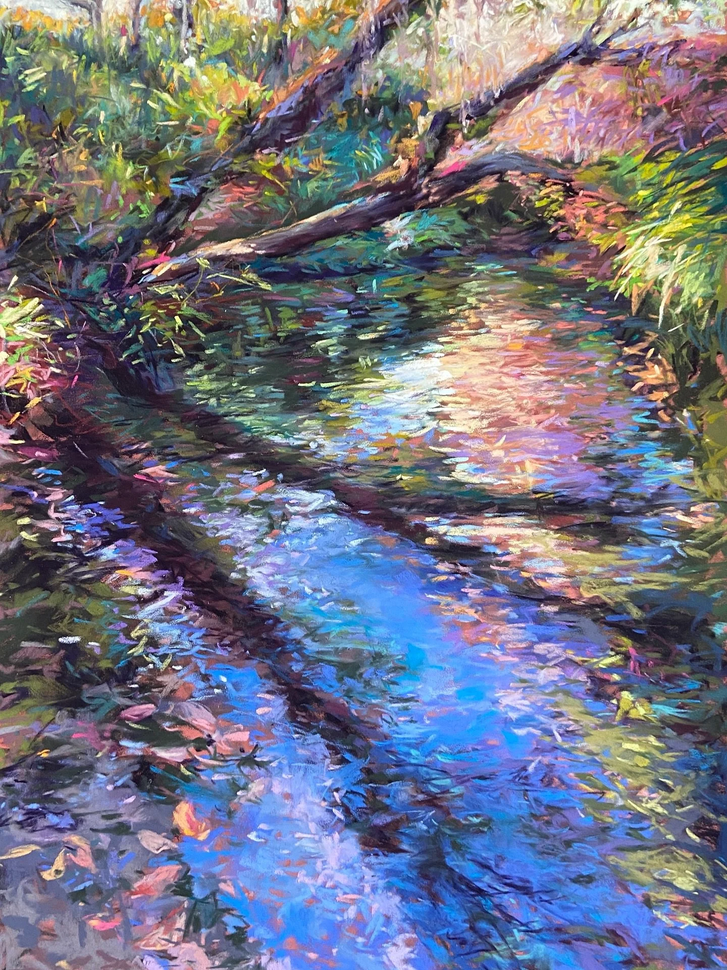 Whoohoo! Honorable Mention winner! Thank you @dakotapastels! Very exciting and most encouraging. 😆 #softpastels on PastelMat #pastelart #pastelpainting #joycesheltonstudio