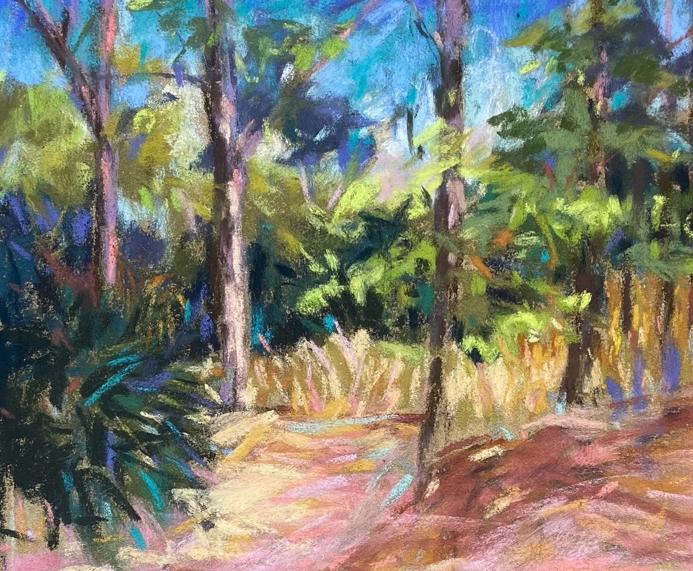 Plein air practice in Chuluota. #softpastelsart #pastel on PastelMat Only 11 more days until the 20th annual #wekivapaintout Don&rsquo;t mind telling you I&rsquo;m honored and a bit nervous to go out in the wilderness and create pretty pictures with 