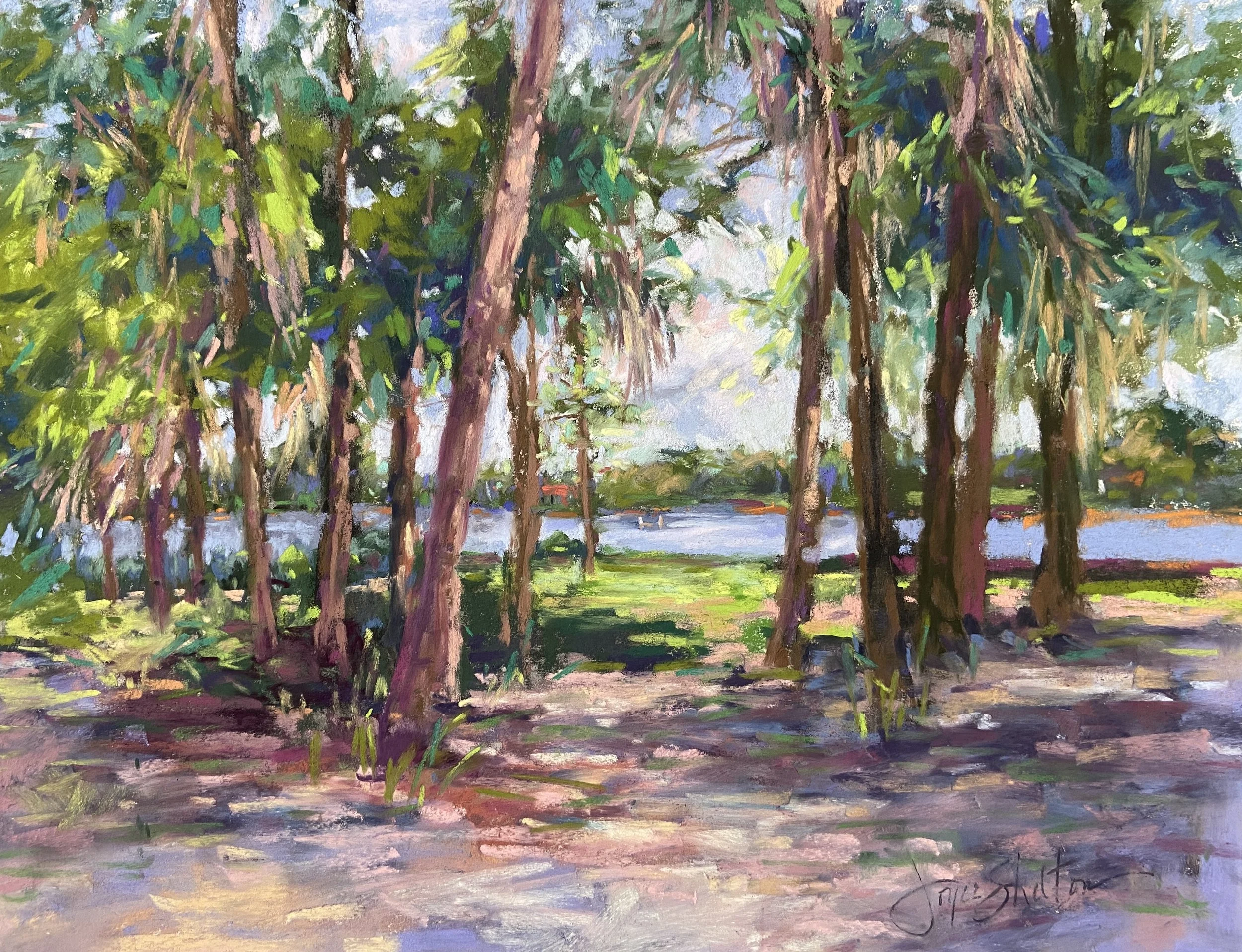 Sun Dappled Afternoon