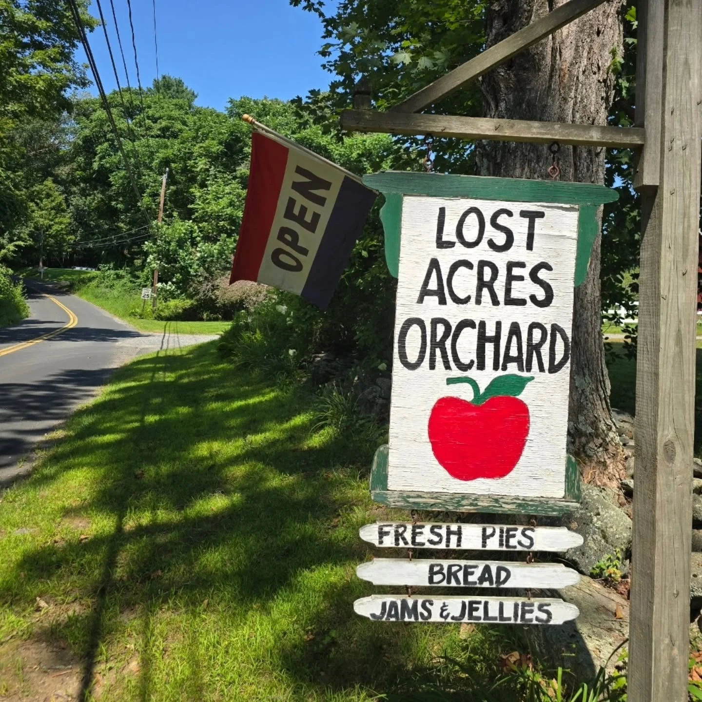 One place to find delicious goodies and fresh fruit is Lost Acres Orchard at 130 Lost Acres Road, North Granby (lostacresorchard.com)

Lost Acres Orchard grows peaches and apples, along with sunflowers, raspberries, blueberries, and a variety of vege