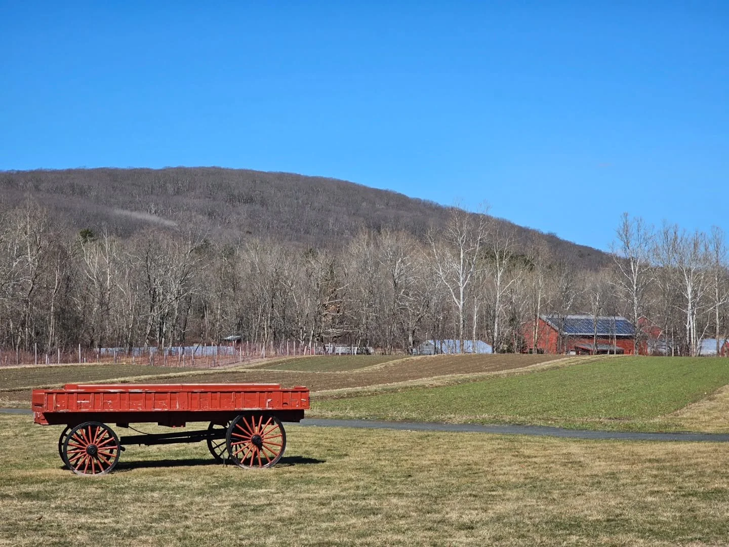 Starting to see some green on the fields at Holcomb Farm!