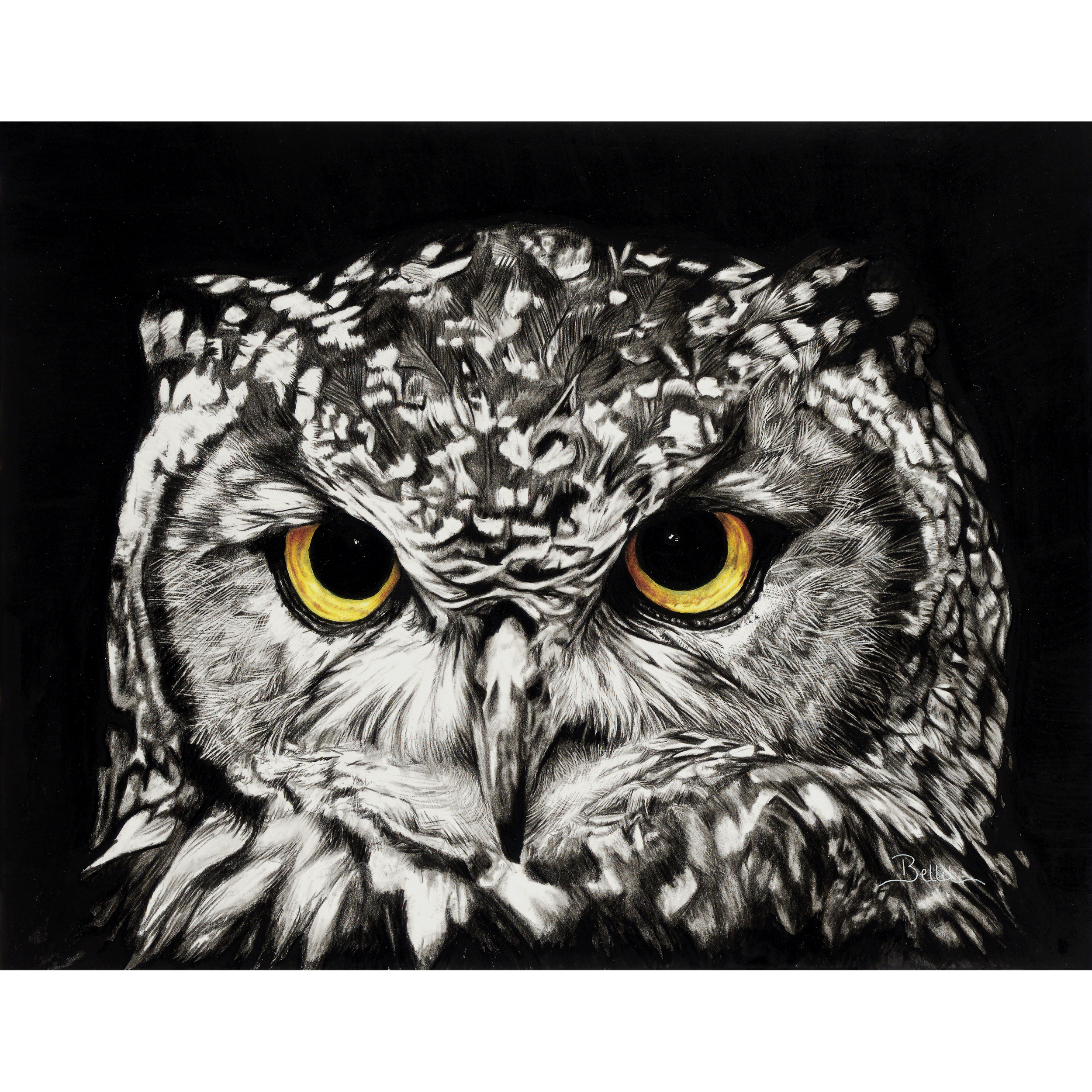 Great Horned Owl Print