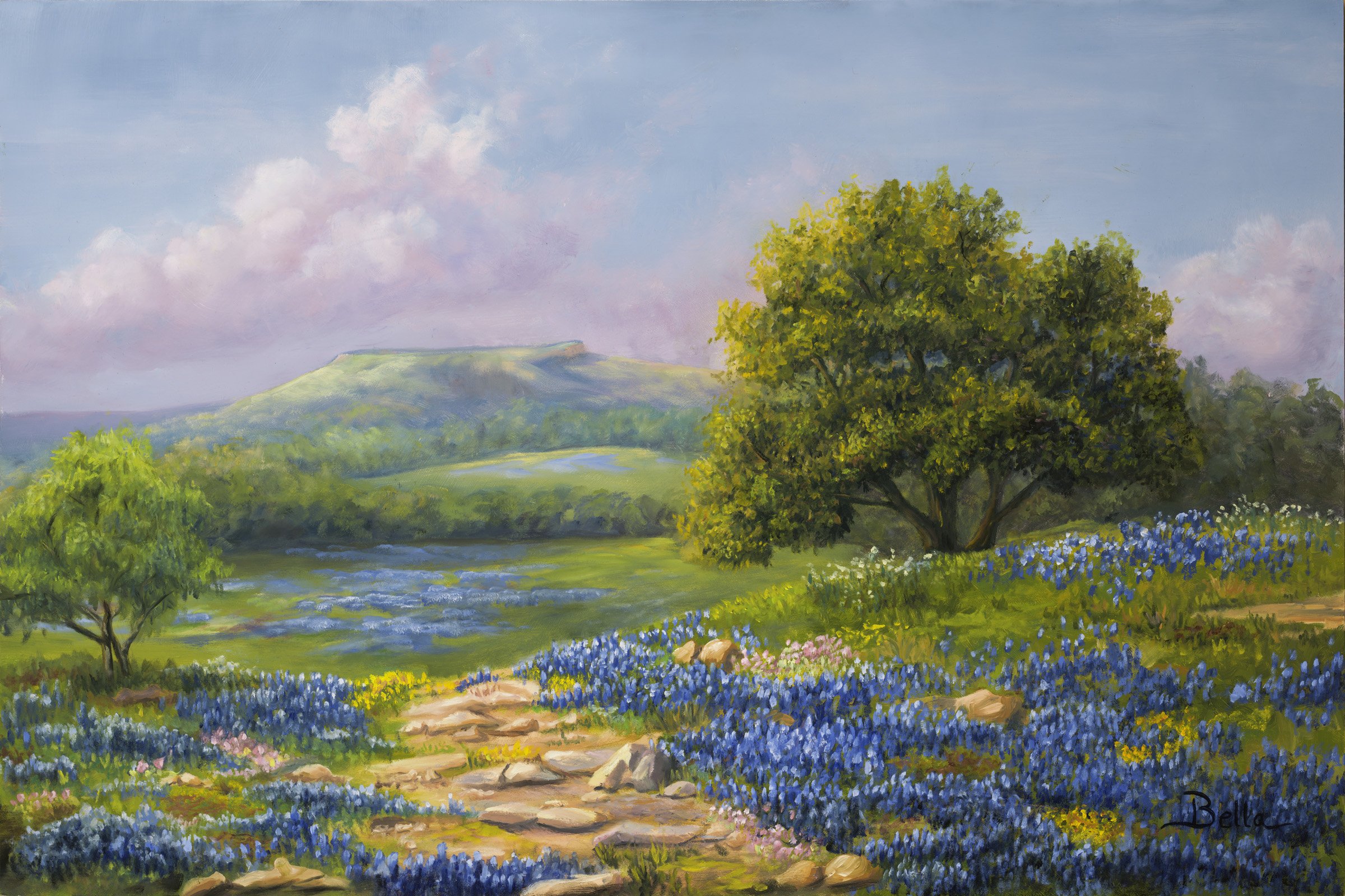 Blue Bonnets Portfolio.jpg