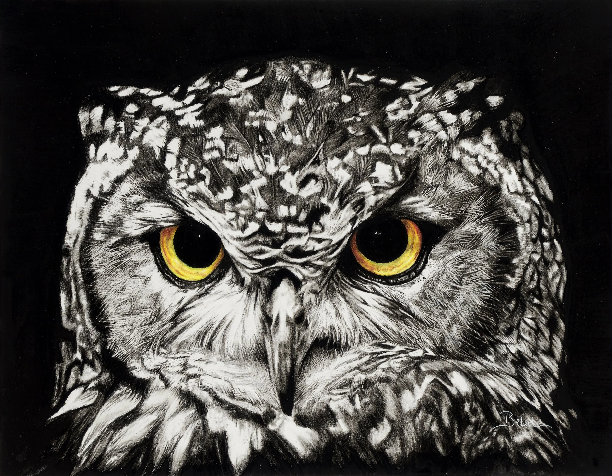 A detailed black and white drawing of an owl's face with yellow and orange eyes, set against a dark background.