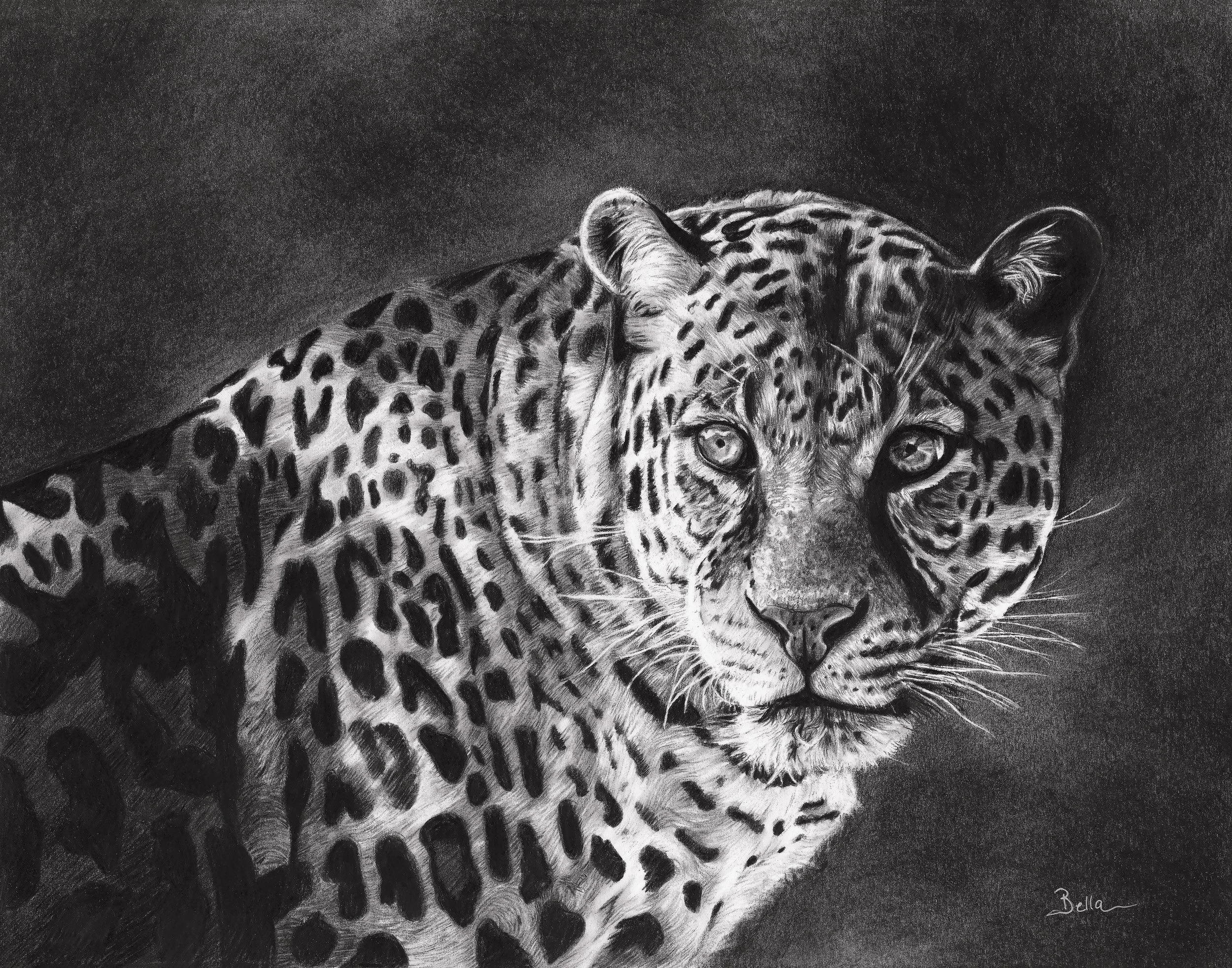 Smith_Bel- Lepard 11x14s.jpg