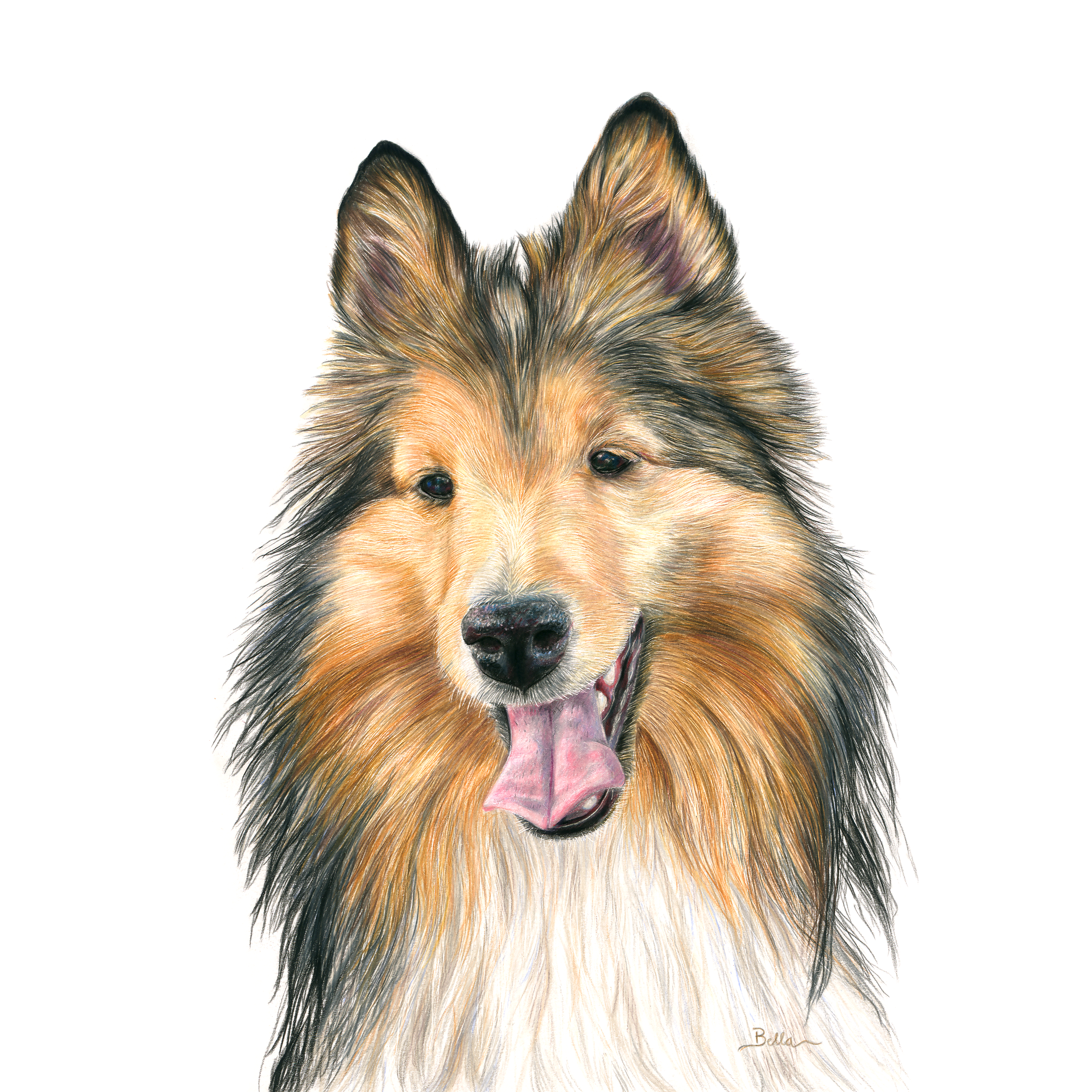 A detailed painting of a dog's face, likely a husky, with fluffy fur in shades of brown, black, and cream, and blue eyes.