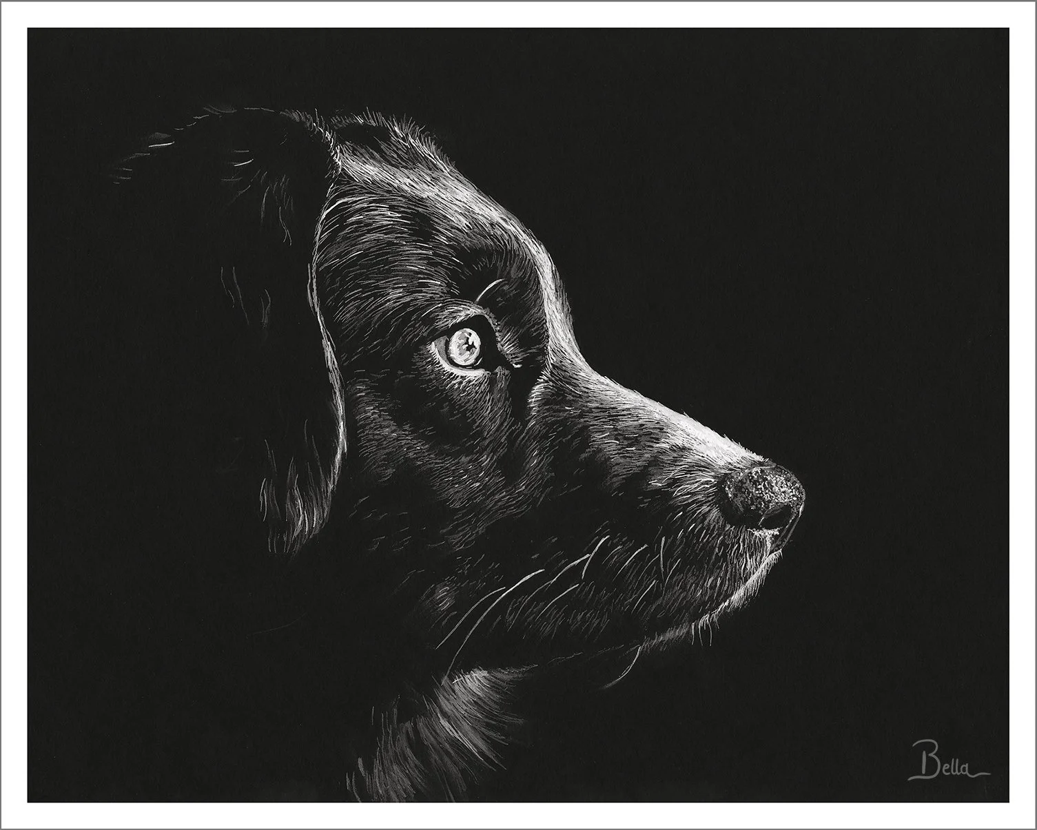 Black and white illustration of a dog's profile, showing detailed fur, eye, nose, and whiskers, set against a solid black background.