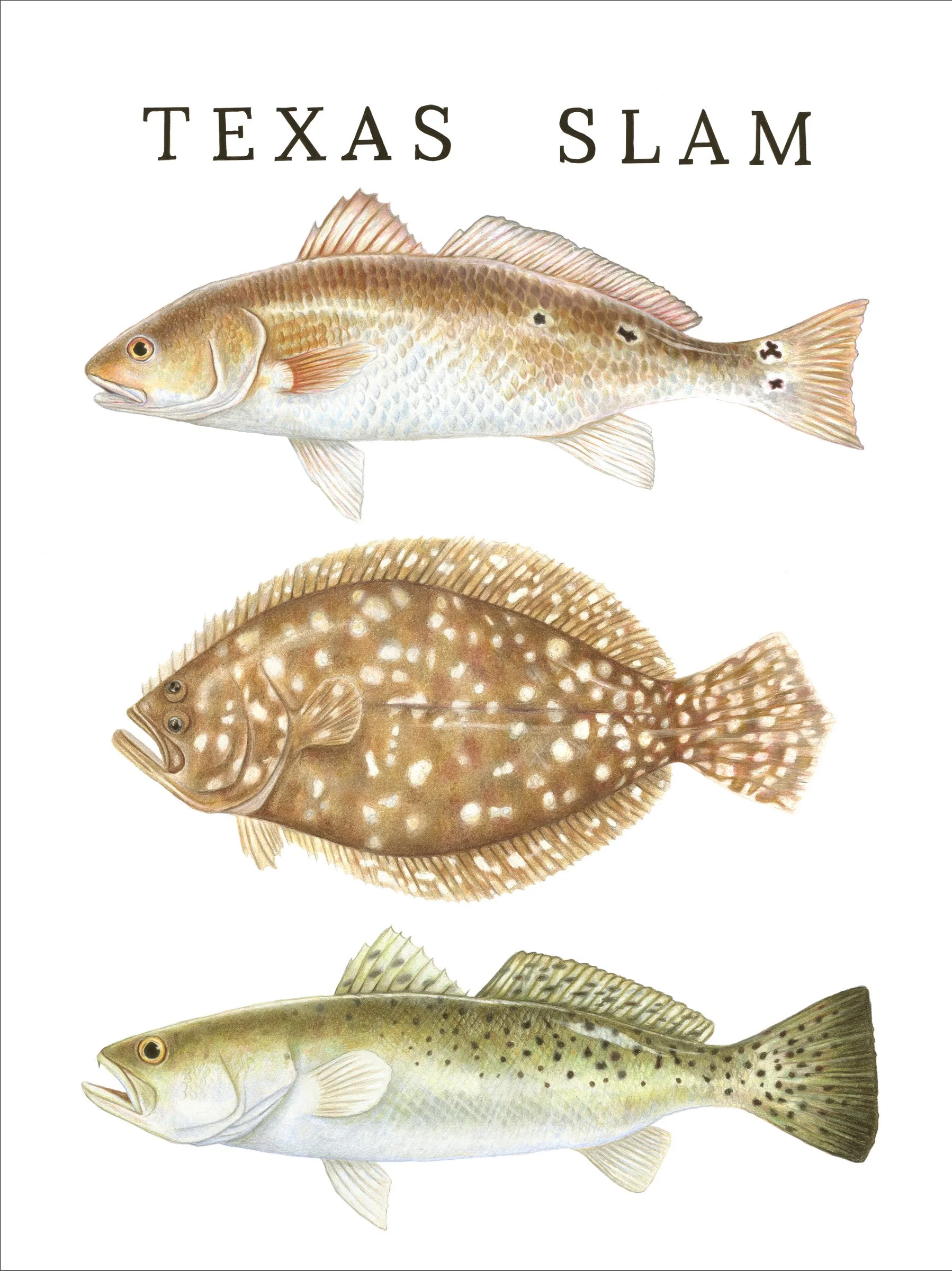 Texas Slam Portfolio.jpg