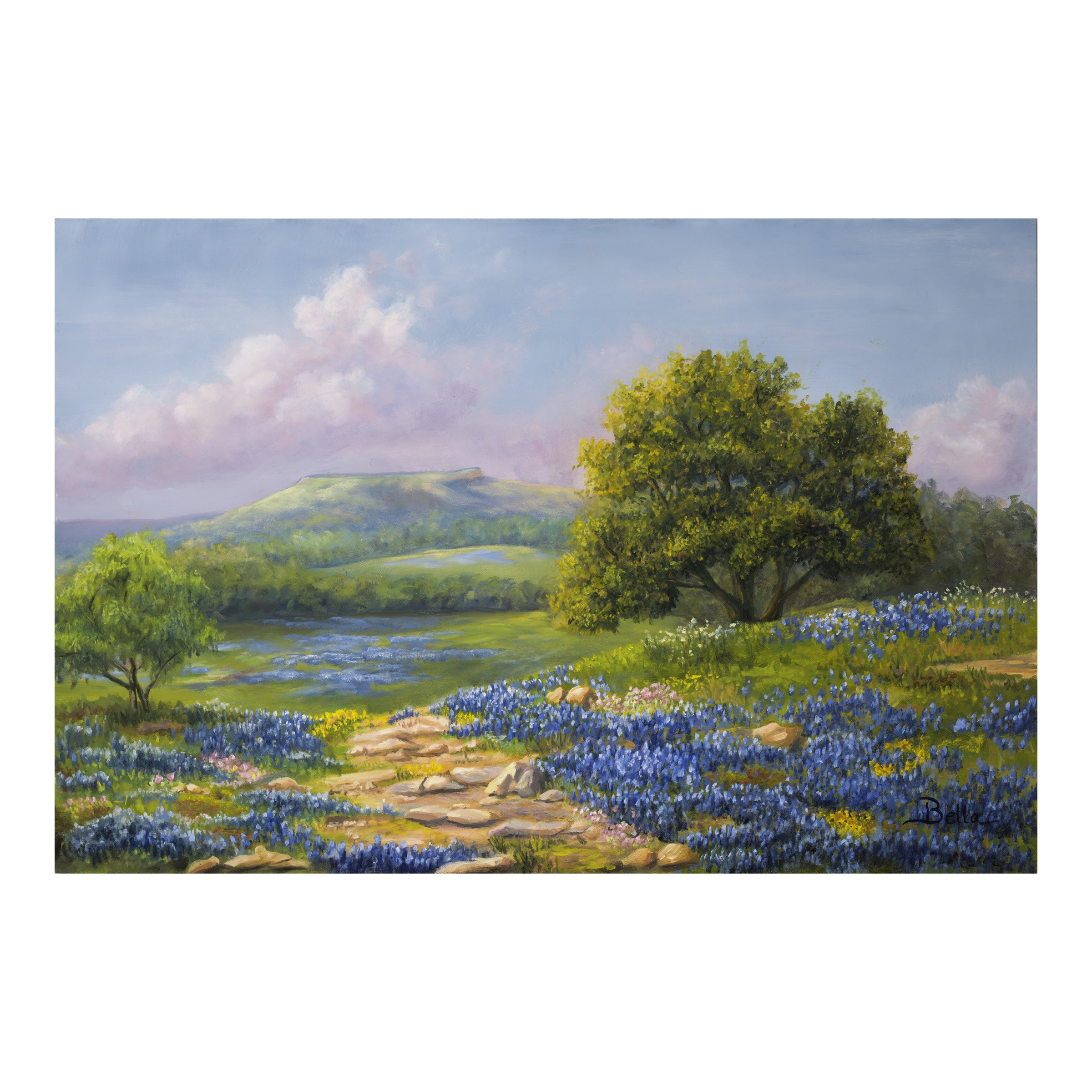 Bluebonnet_Shop.jpg