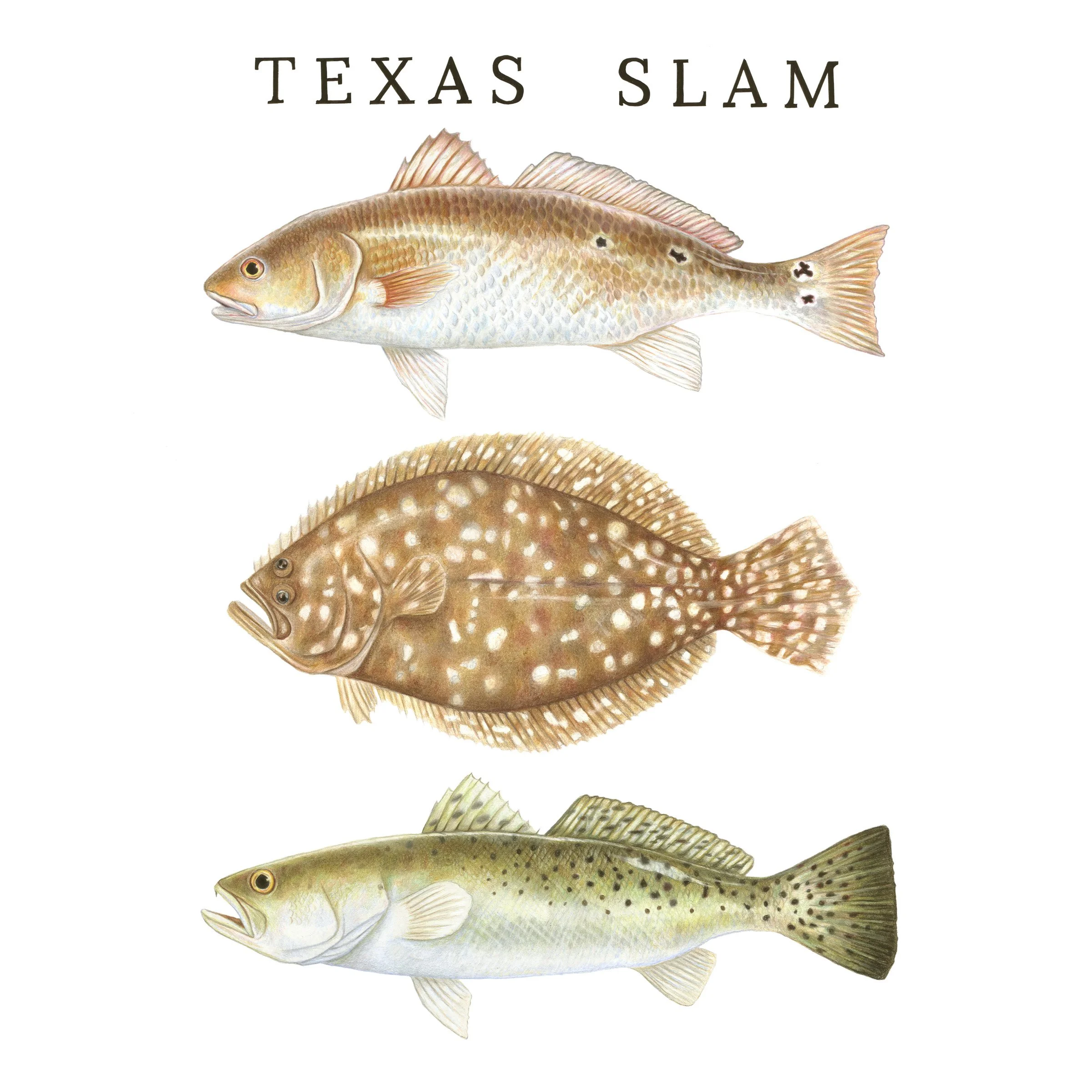 Texas_Slam_Shop.jpg
