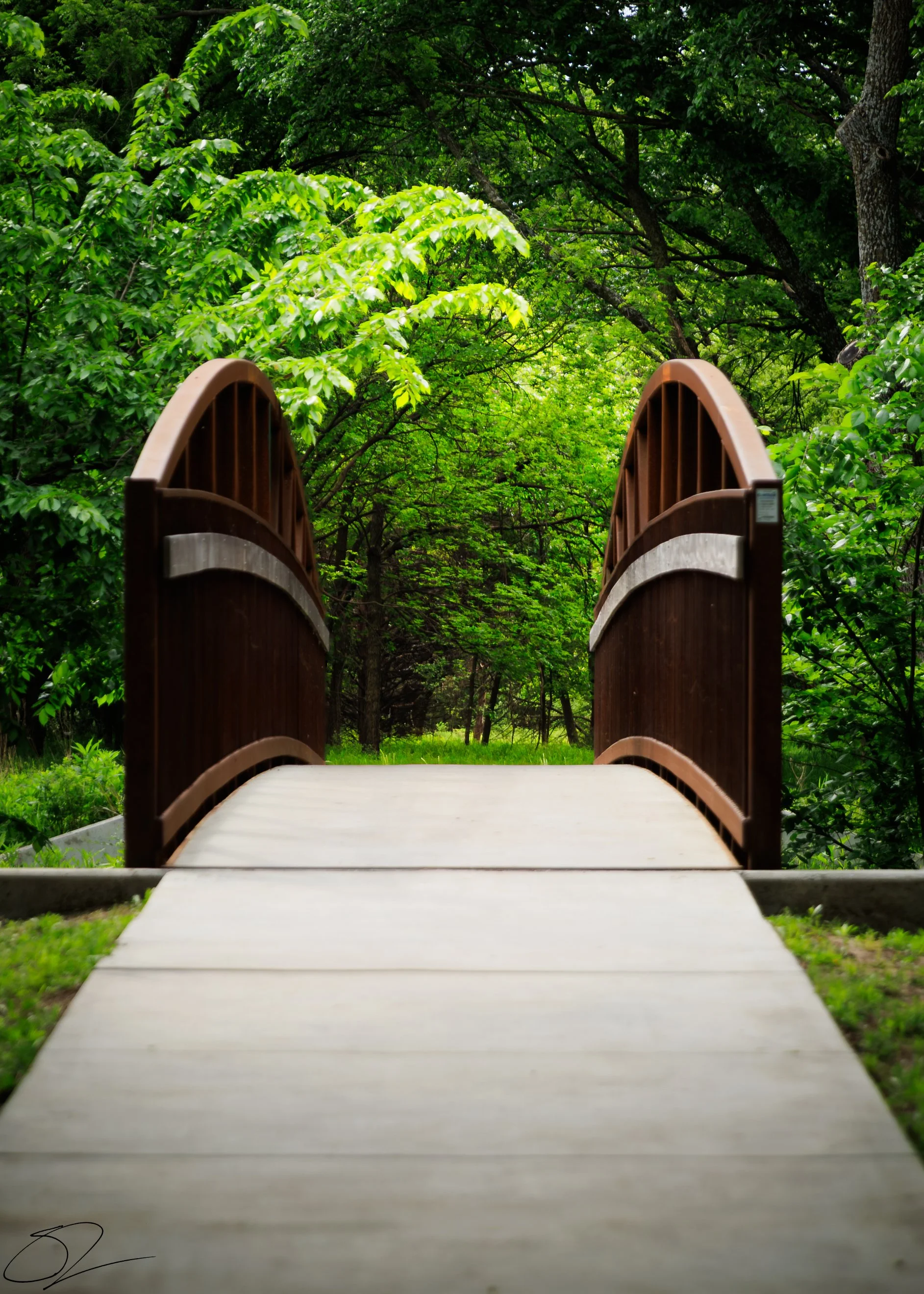 A wooden bridge in a lush green forest with trees and foliage surrounding it.