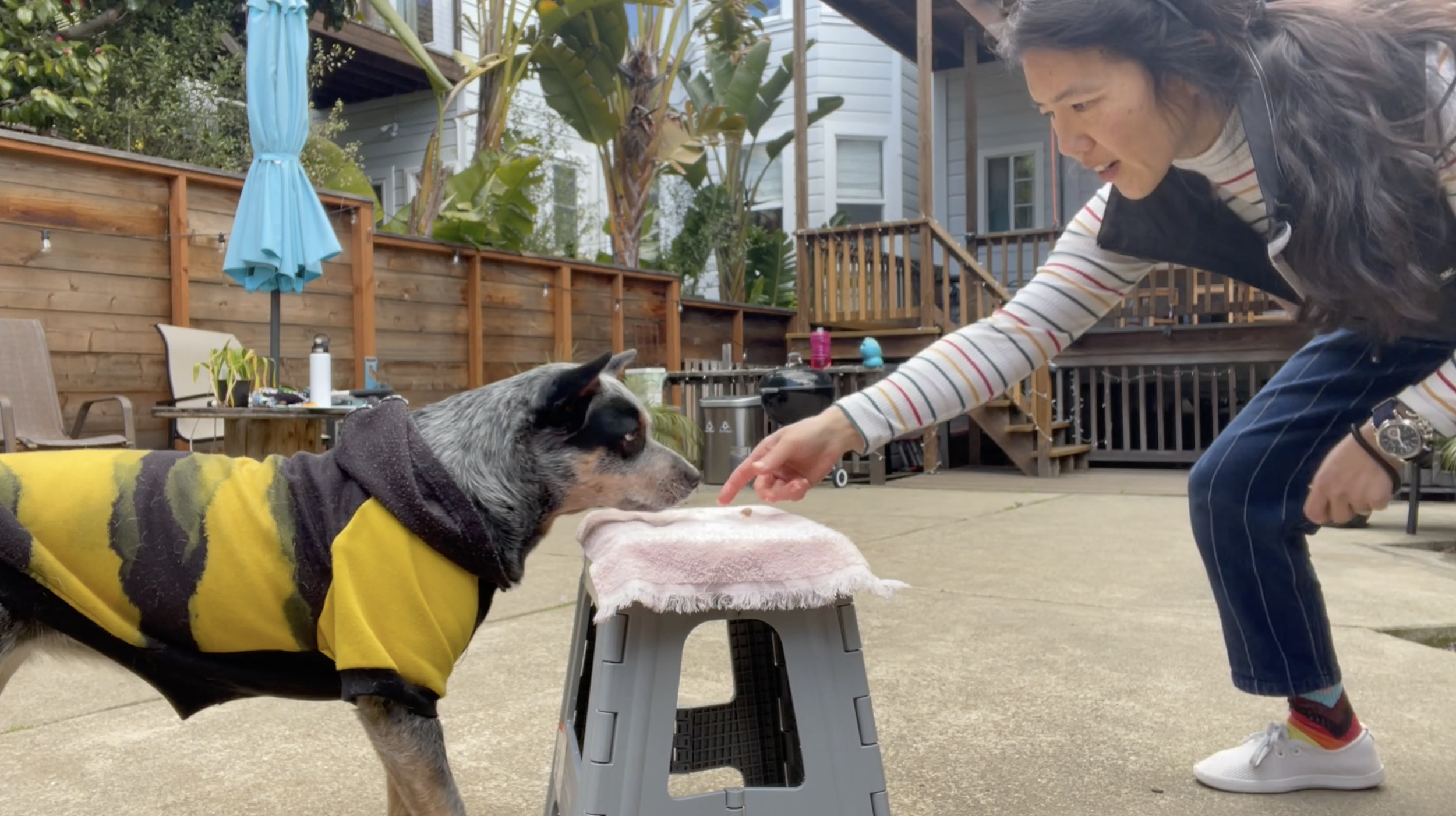 5-10 Treats at a Time