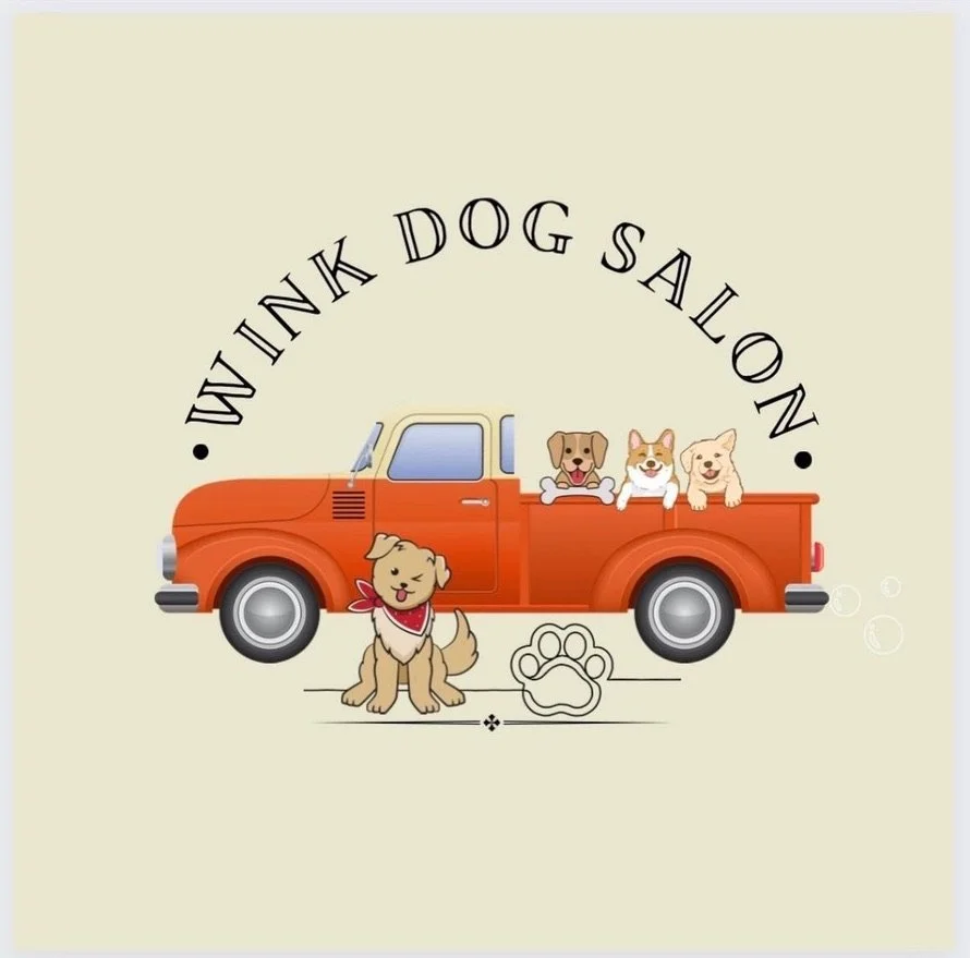 Interview: Emily St. John, Owner & Head Groomer of Wink Dog Salon