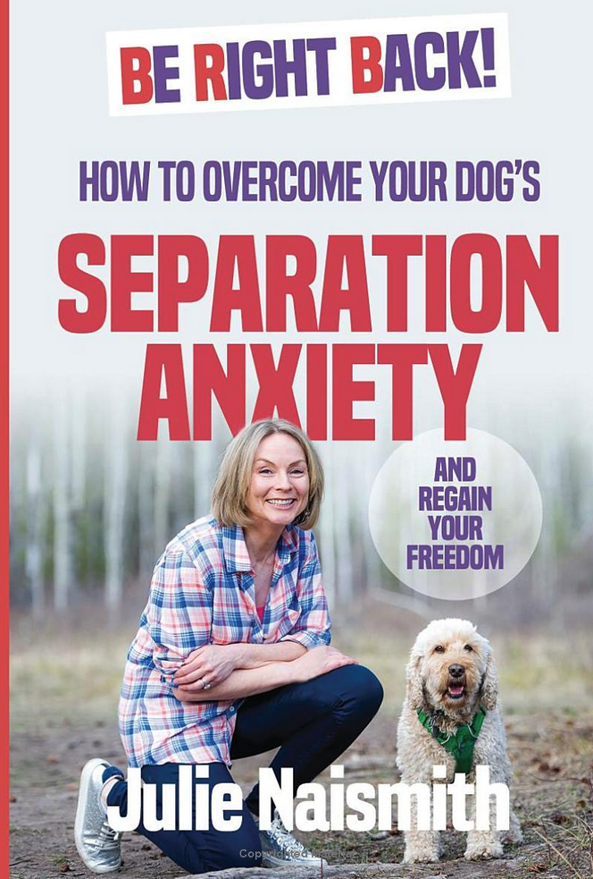 Cover of the book, "Be Right Back" by Julie Naismith