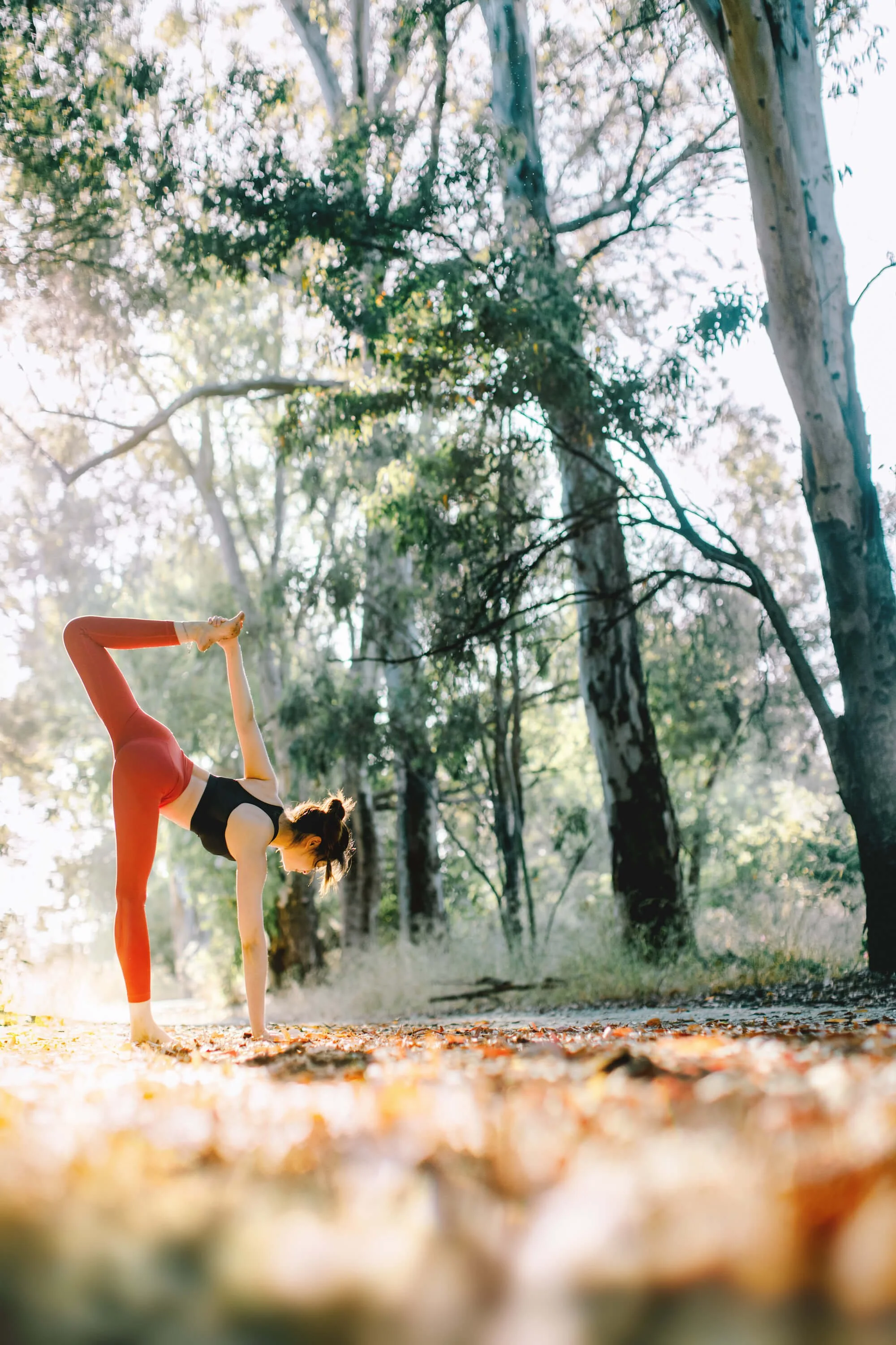 Tina's Intro optional3 (1).jpg