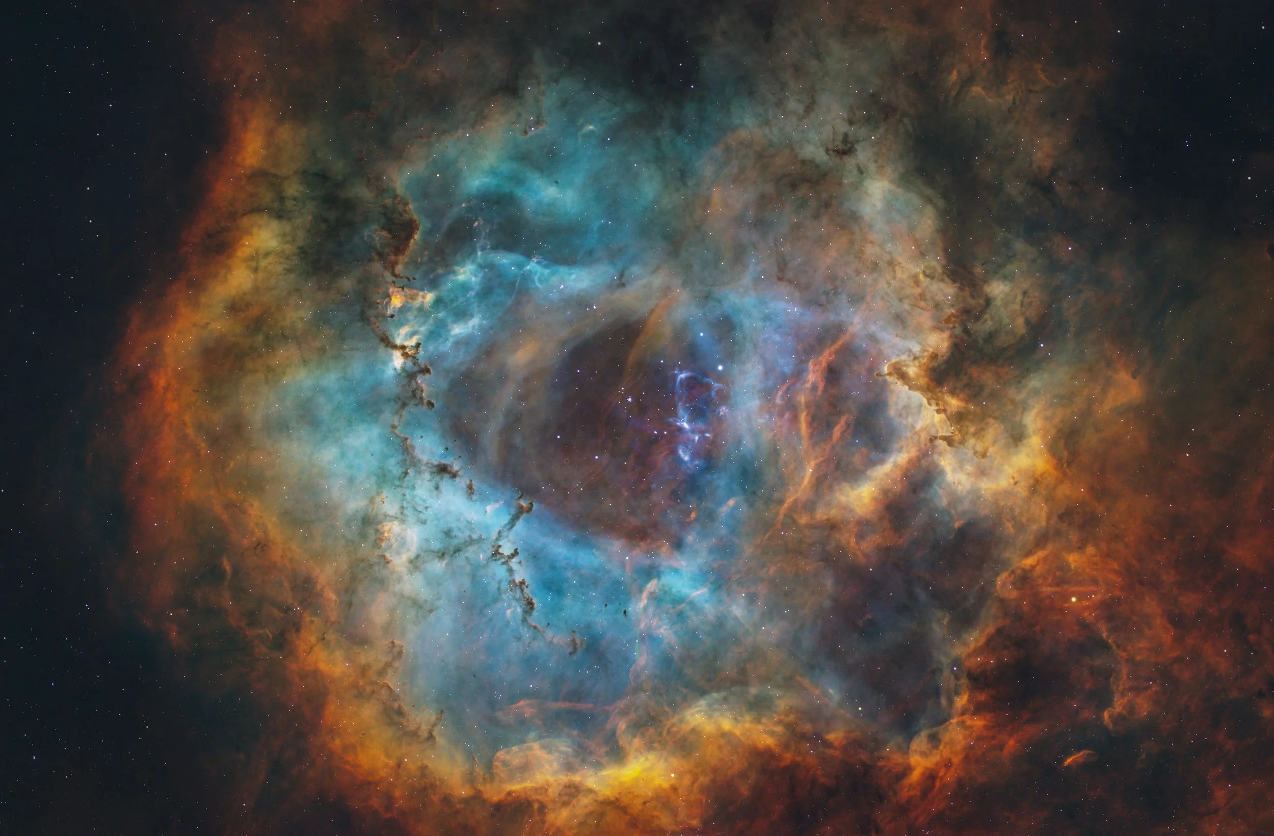 Rosette