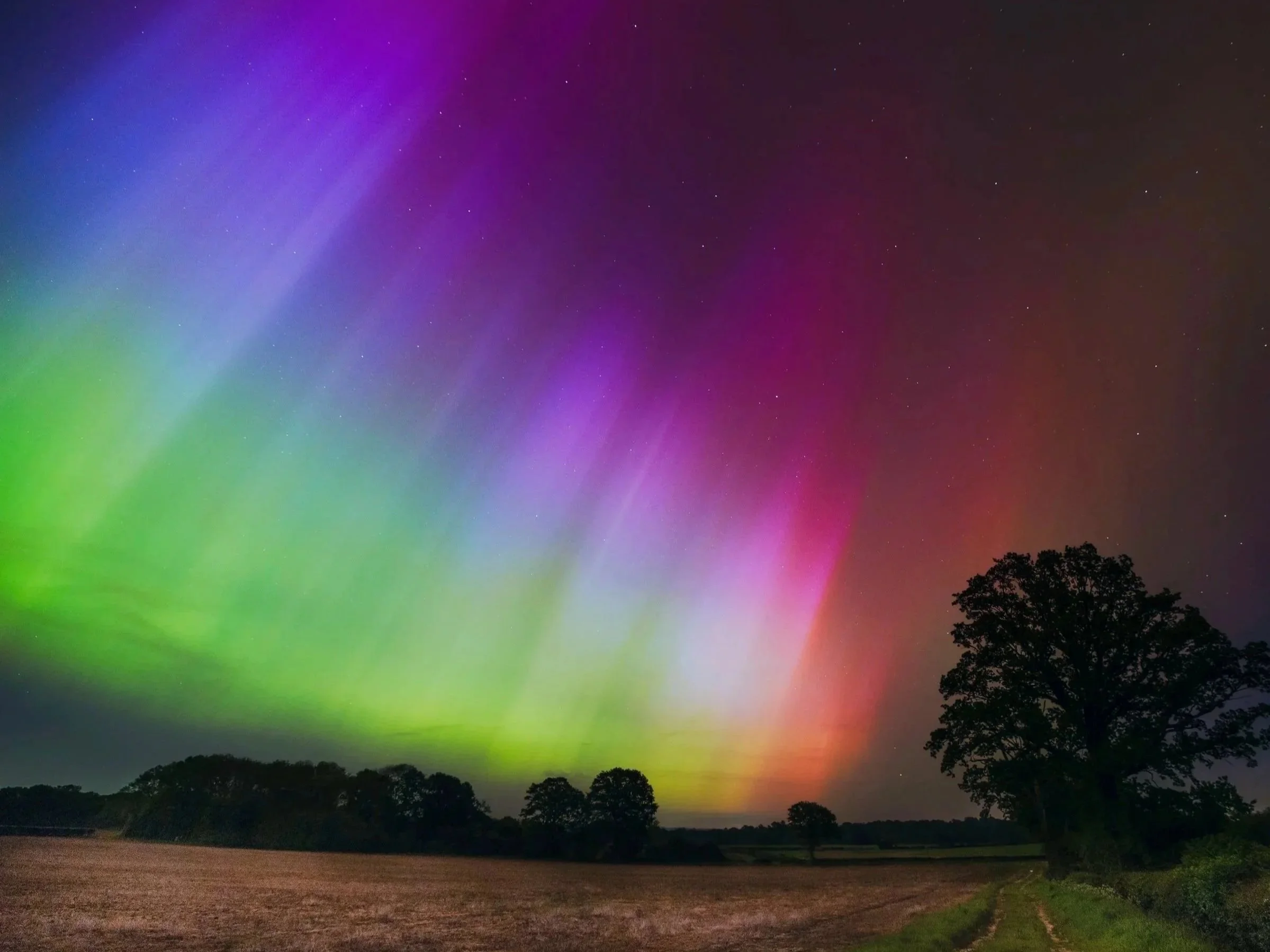 The image shows a night sky illuminated by the northern lights with shades of green, purple, pink, and blue, over a silhouette of trees and an open field.