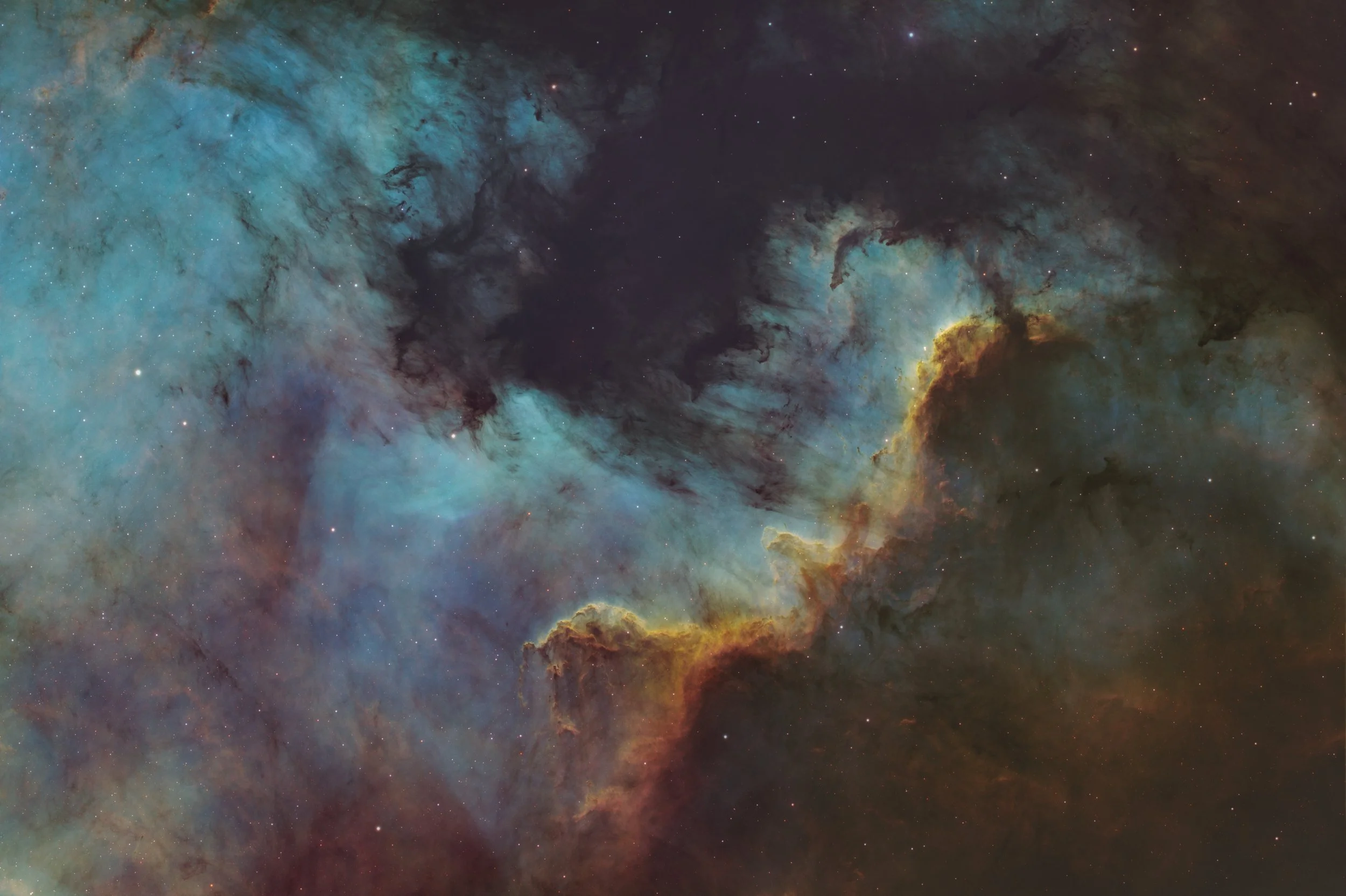 Cygnus Wall