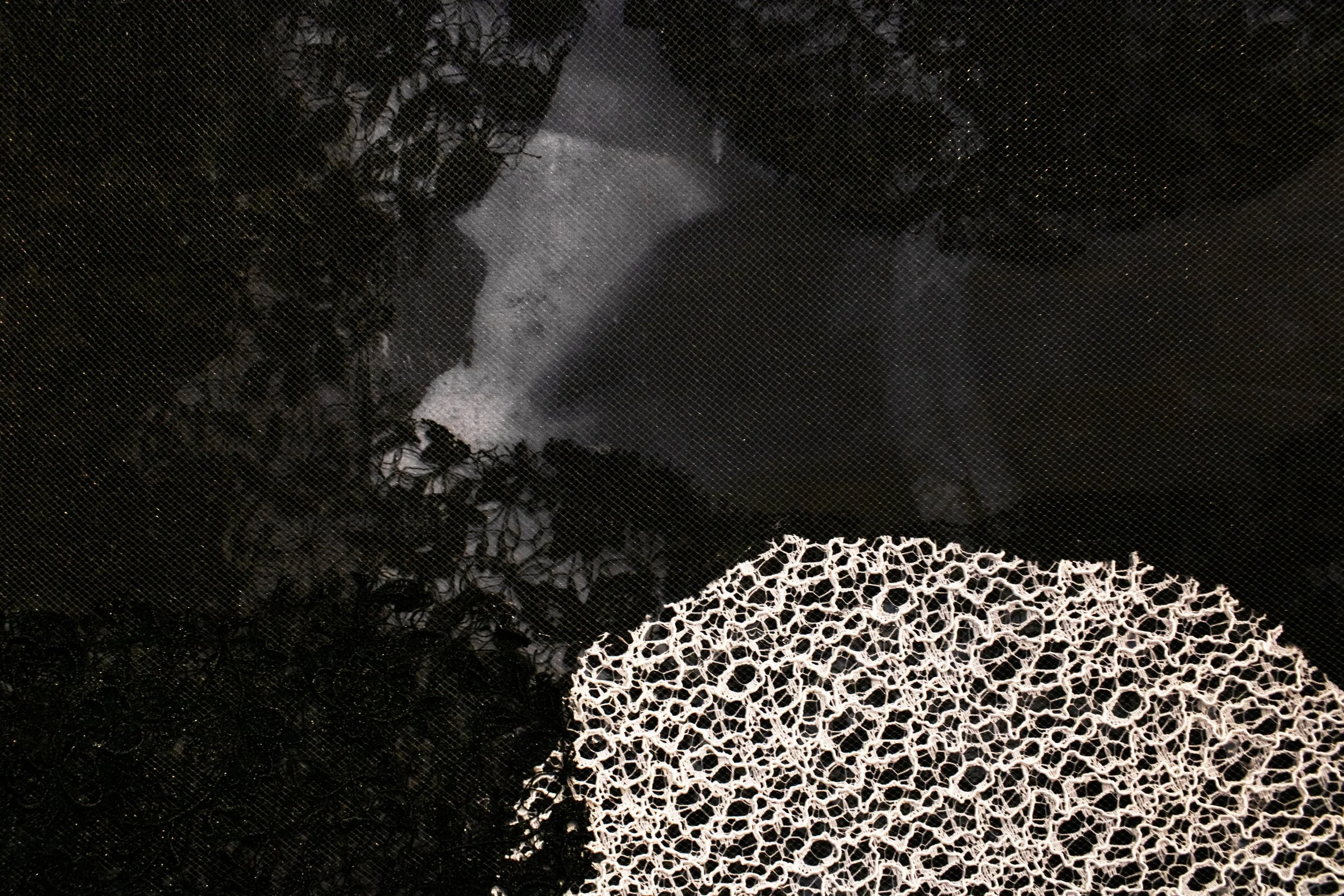 What Can The Sun Not Give Me?
Oil, acrylic, lace, tulle, and plywood on linen.
30" in. x 40" in. 
2025
(Close-up Image 1)
