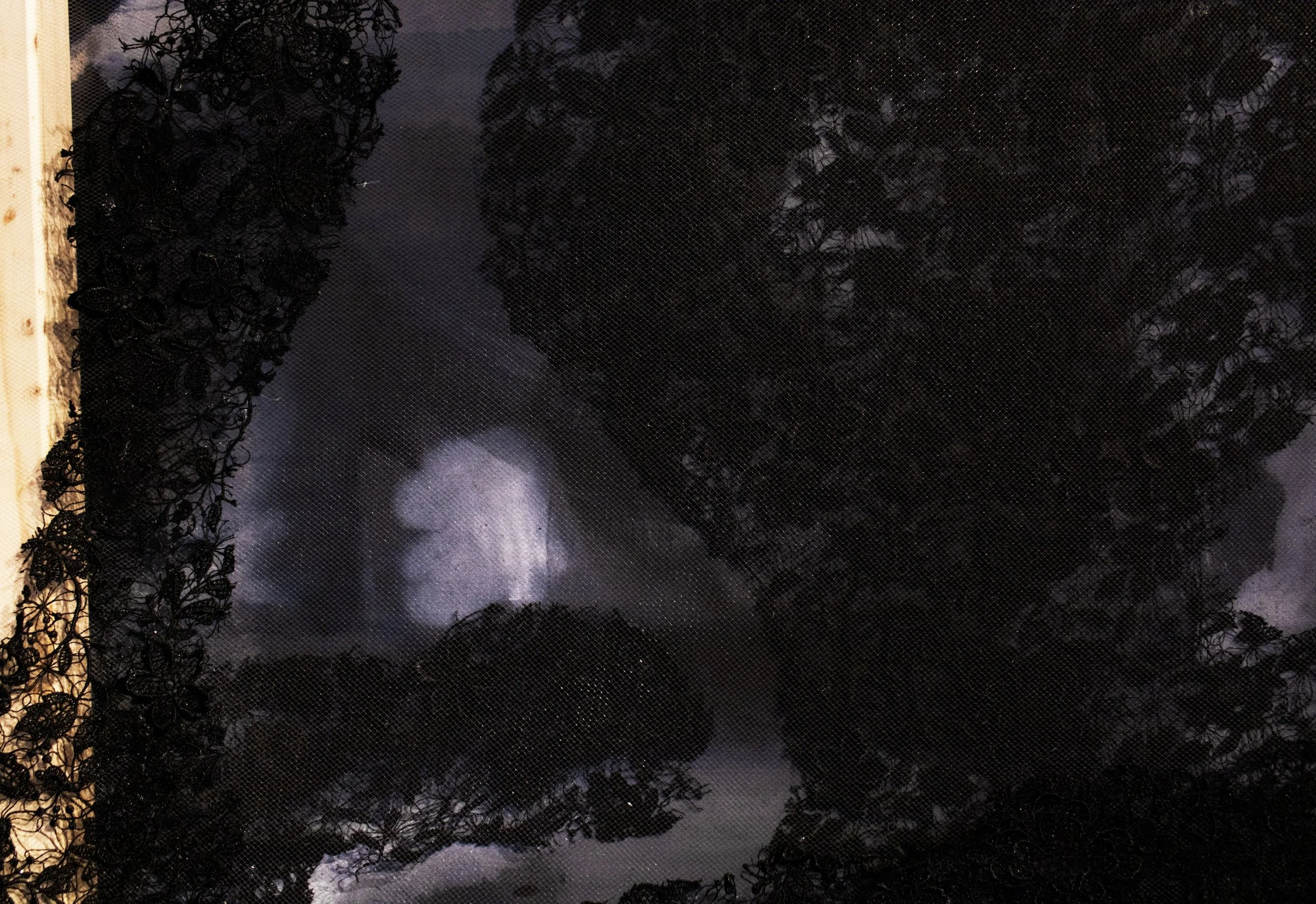 What Can The Sun Not Give Me?
Oil, acrylic, lace, tulle, and plywood on linen.
30" in. x 40" in. 
2025
(Close-up Image 3)