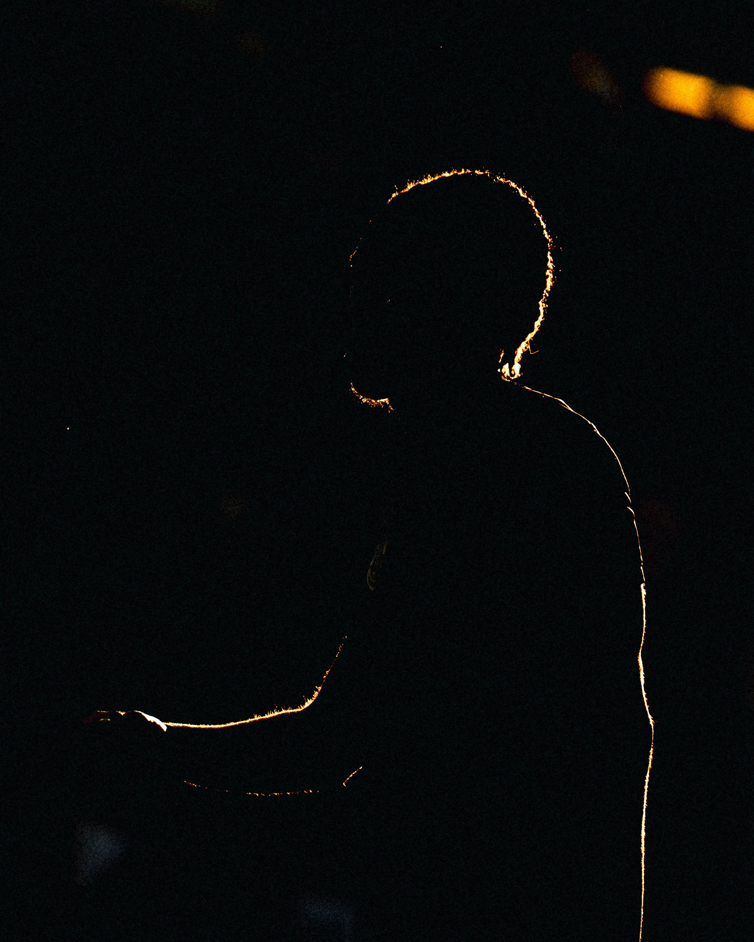 A7304303.jpg