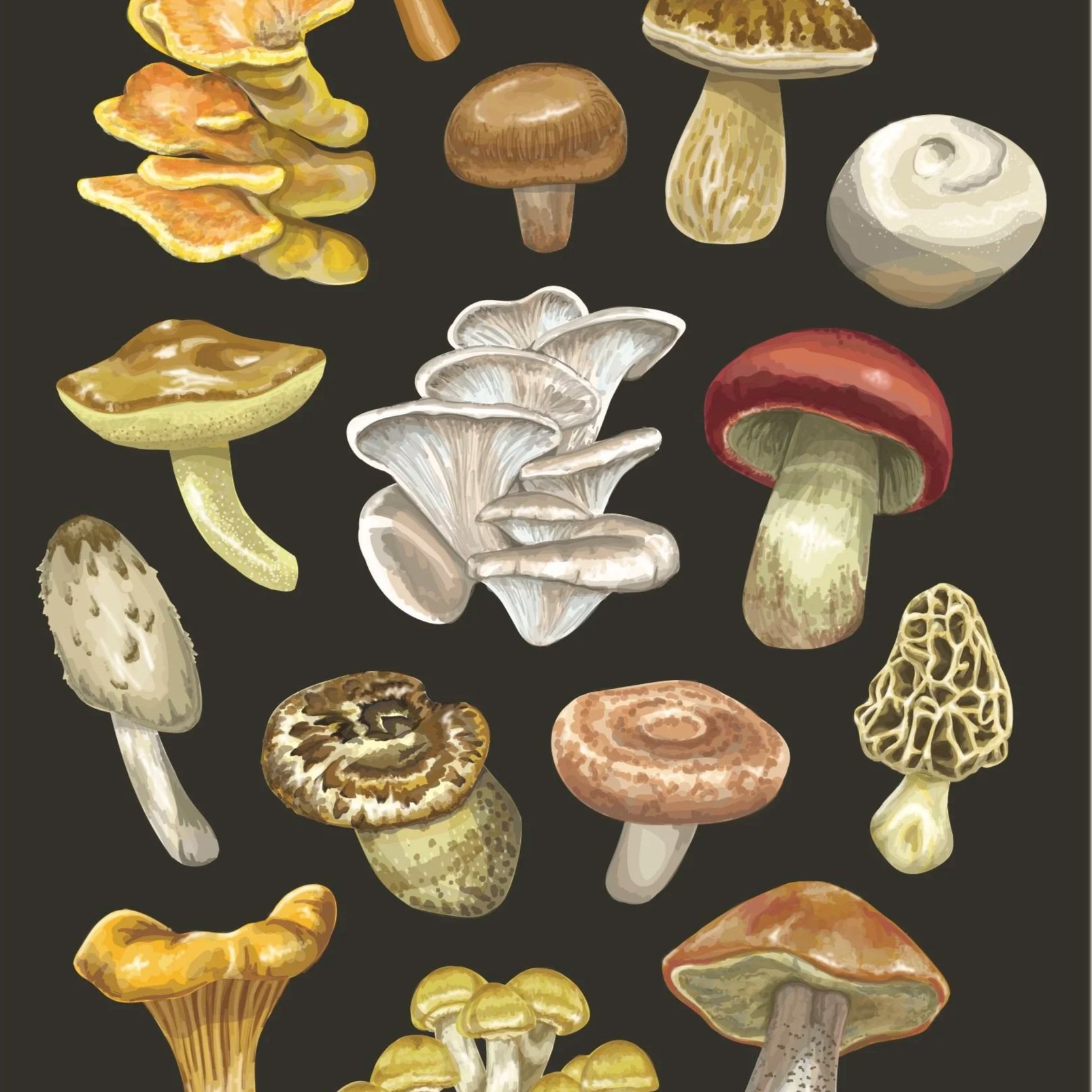 Mushrooms