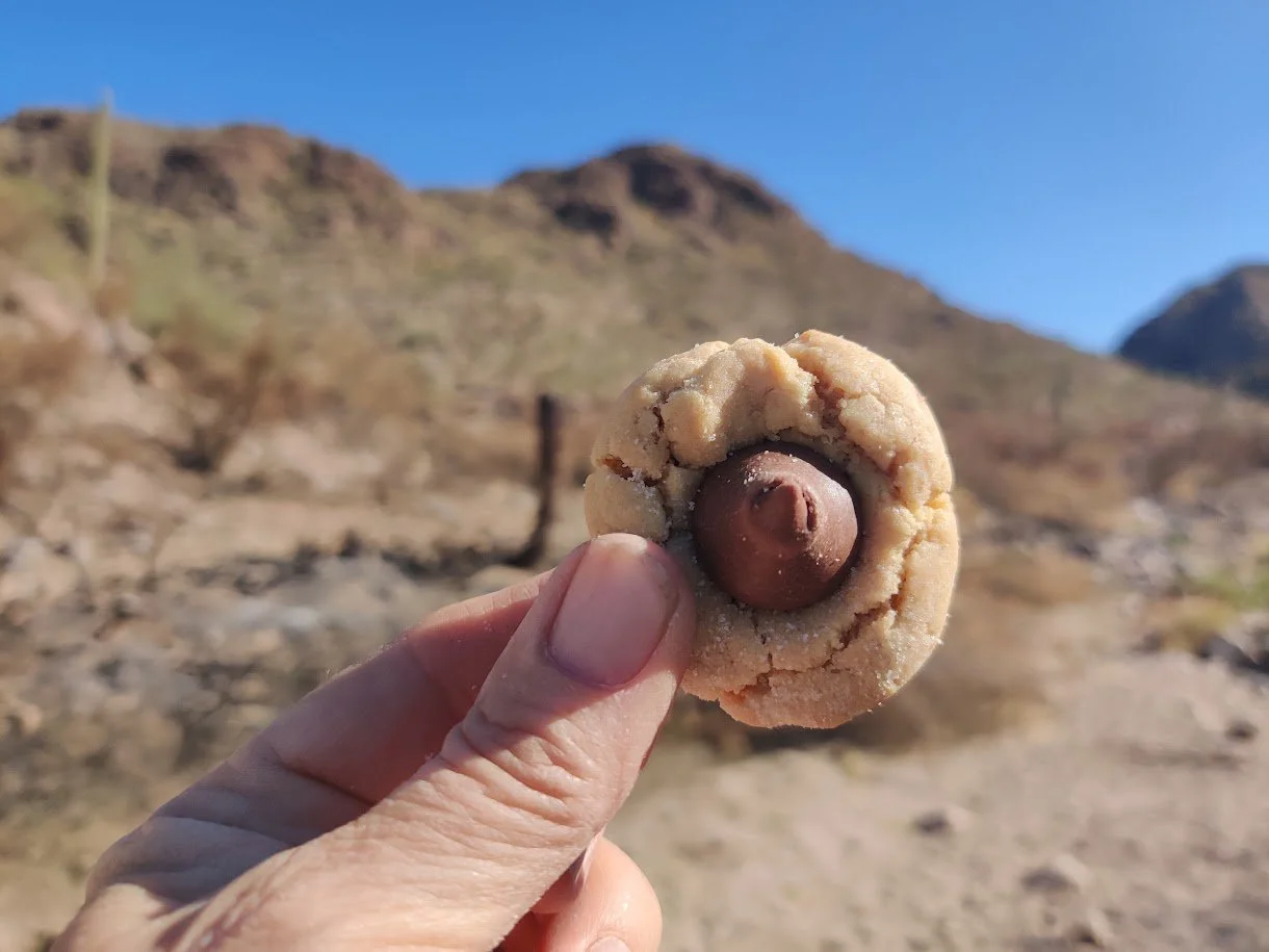 Christmas cookie out on desert trails in Arizona
