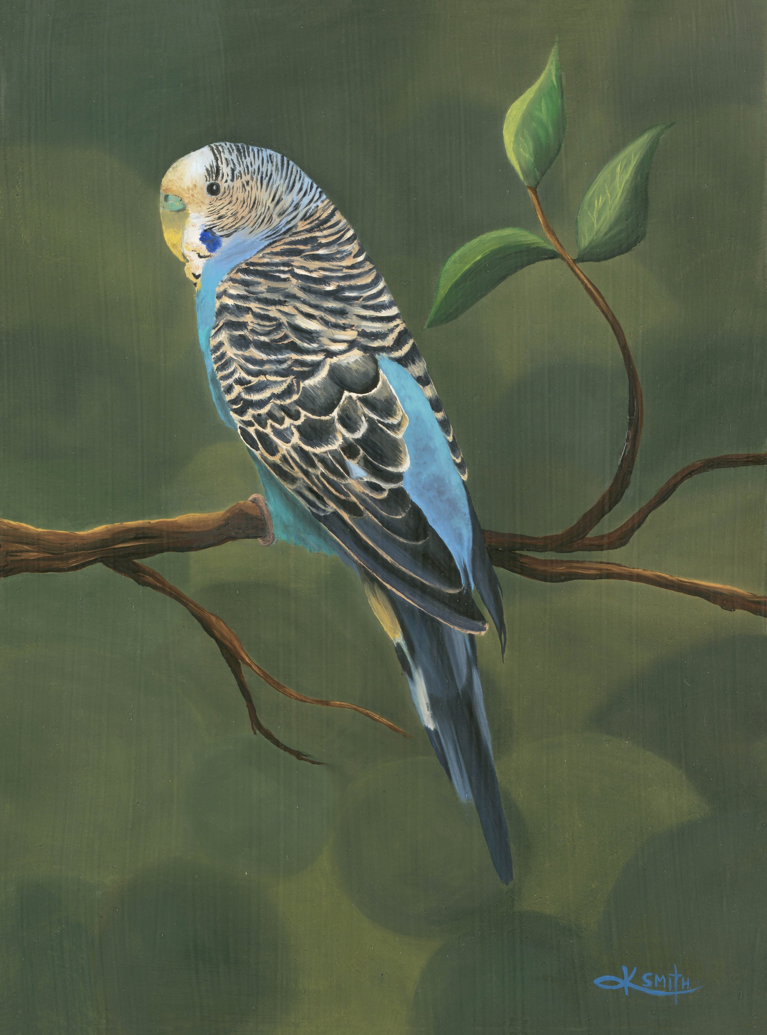 Smith%2CK-+Parakeet+12x16s+copy.jpg