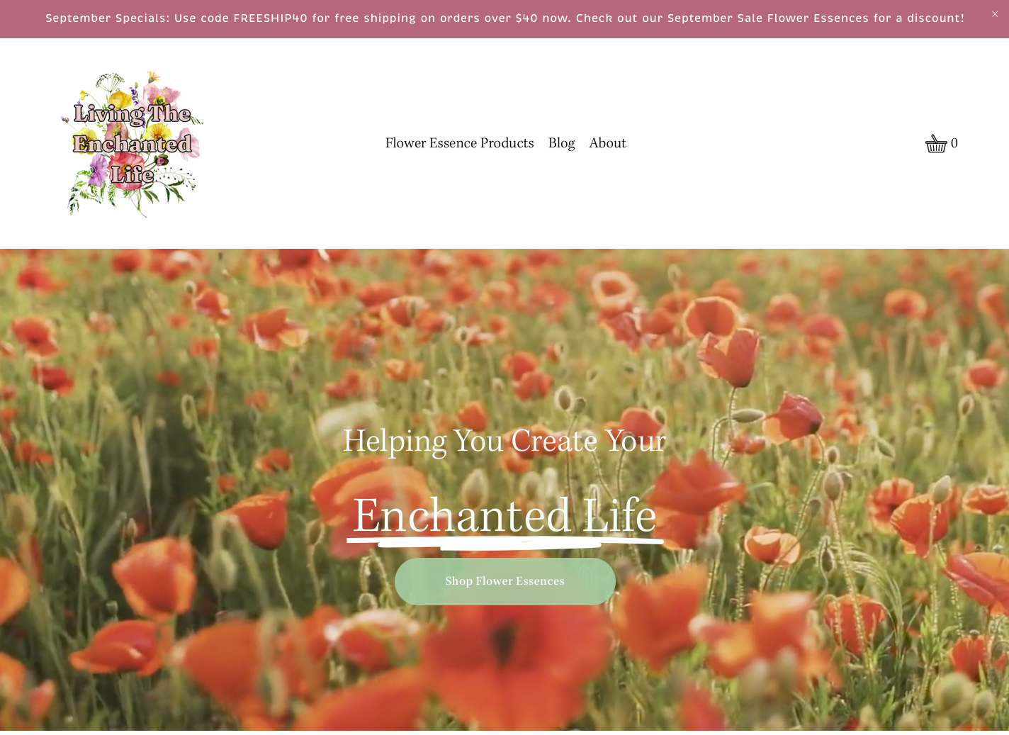 Screenshot 2024-09-14 at 11.23.53 AM.png