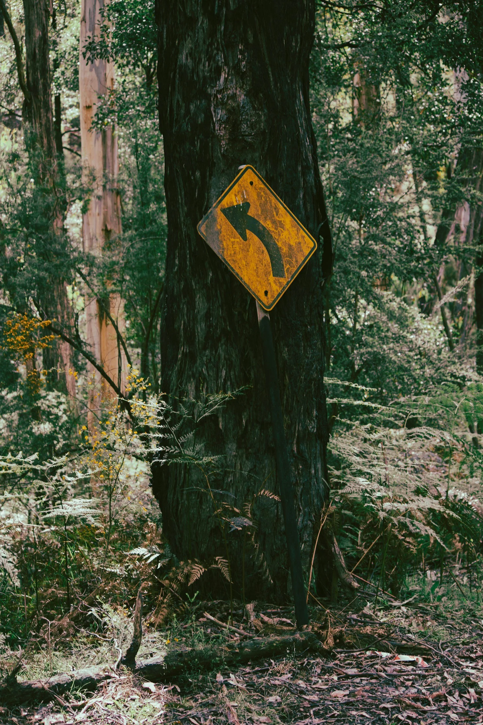 4 Signs You’re Influenced by Nne Agwu