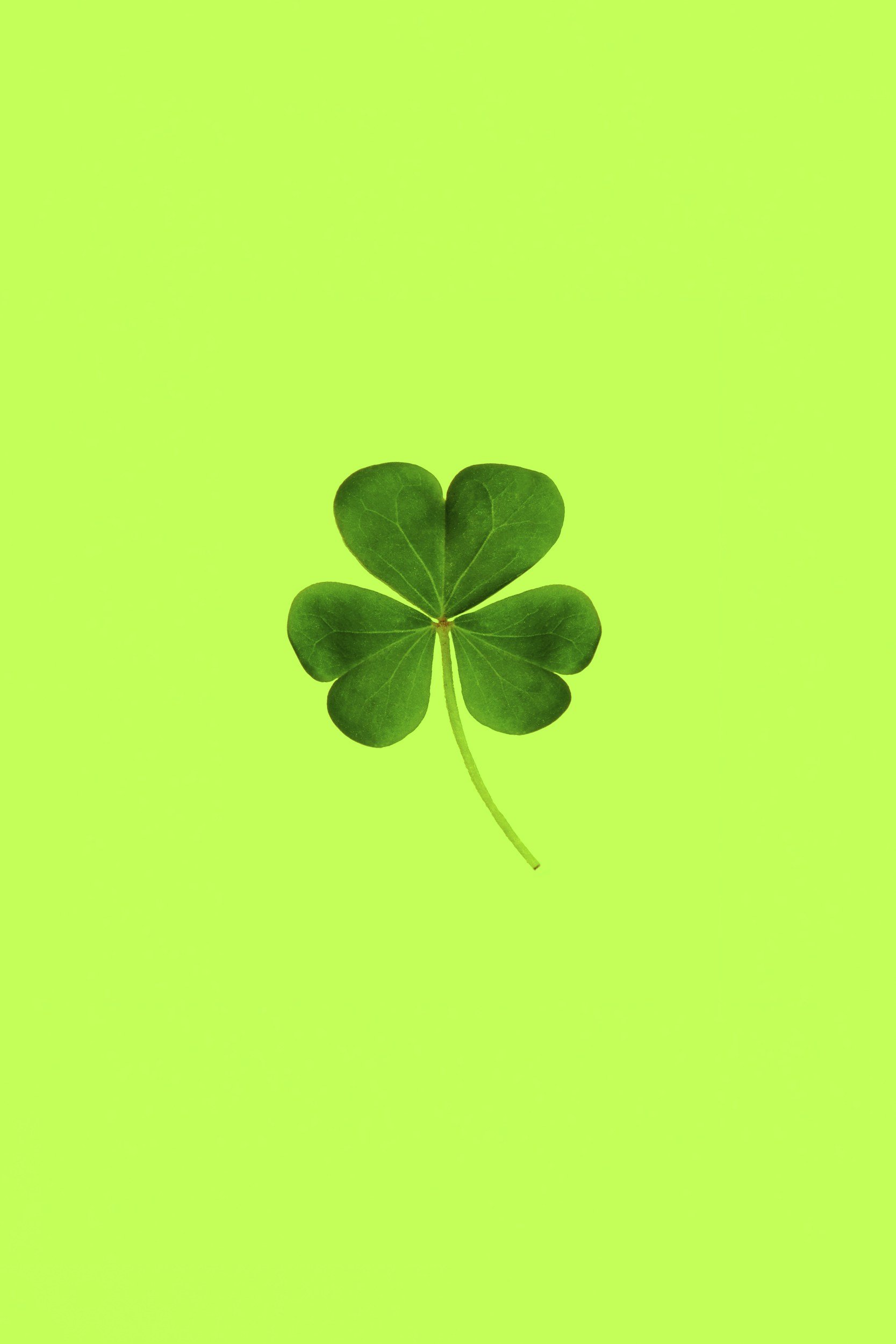 How to Become Lucky the Odinani Way