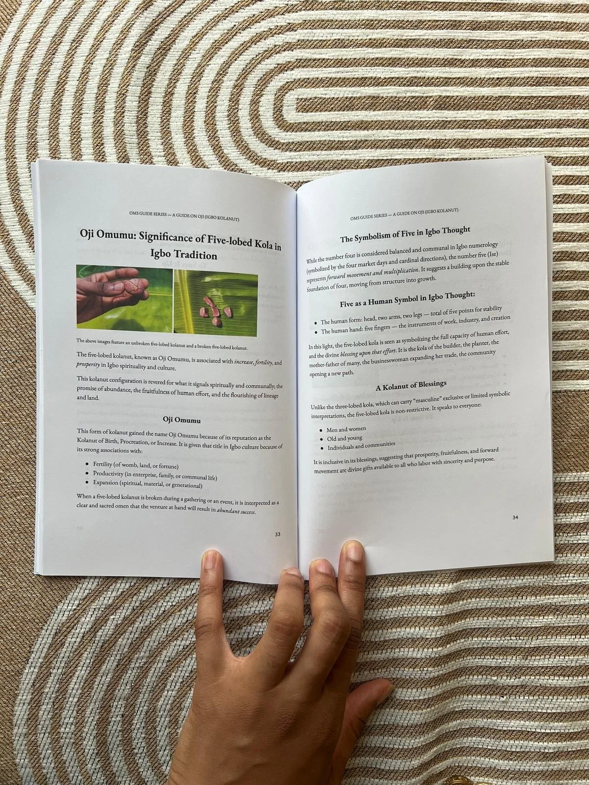 oji guide inside.jpeg