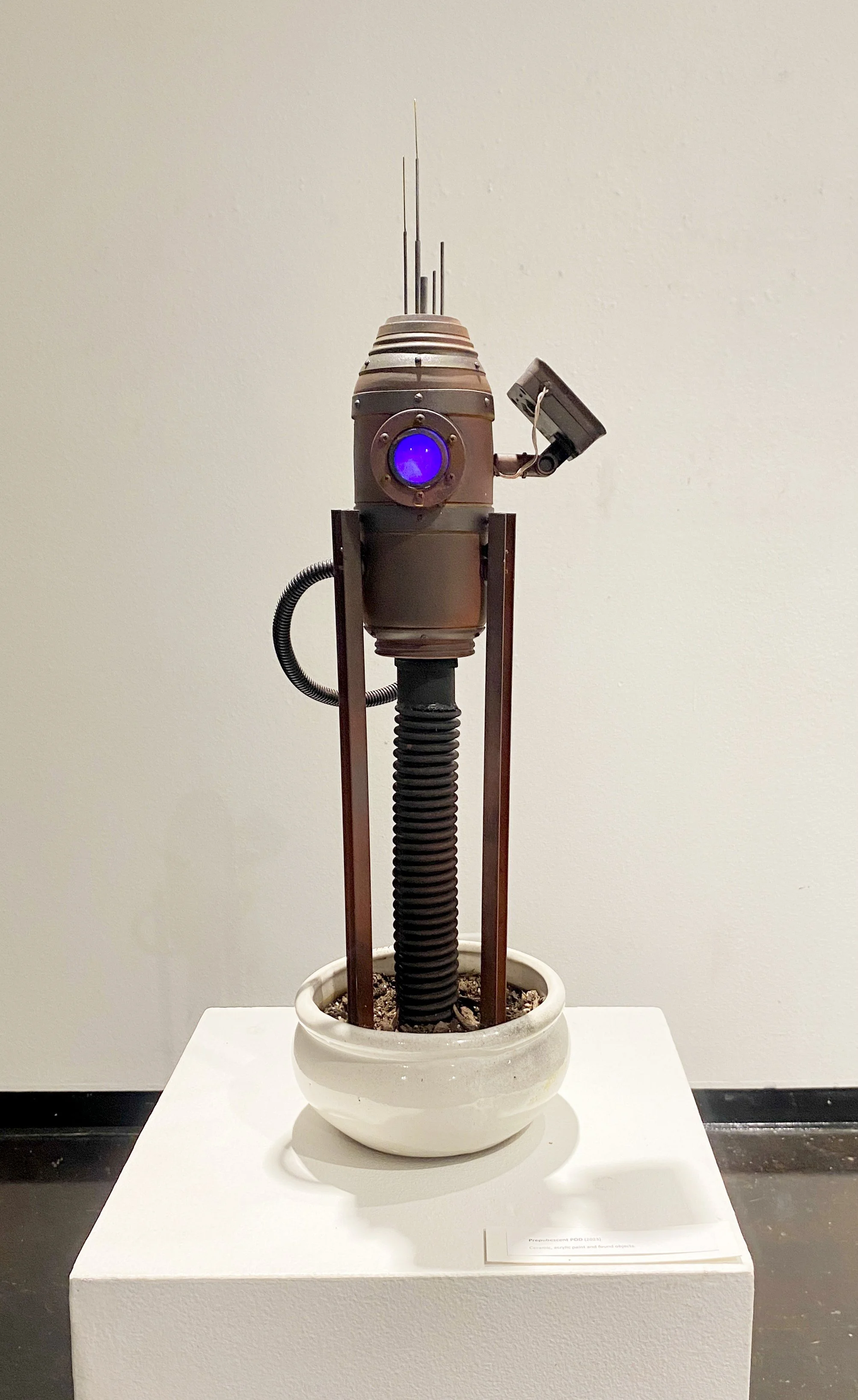 PREPUBESCENT POD //
2023
8" x 8" x 24"
Ceramic, metal, rubber, plastic and acrylic paint