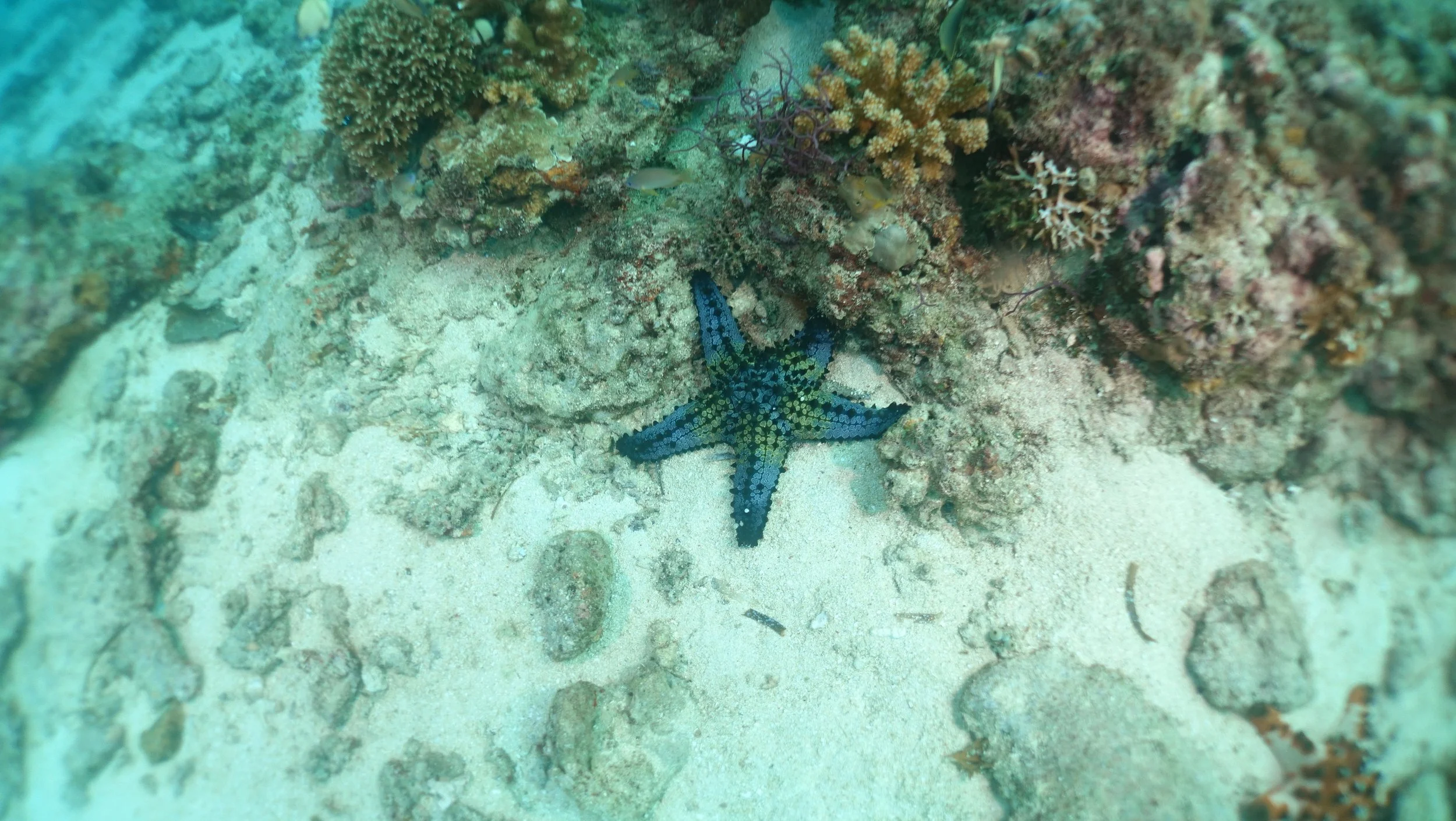 Small Steps Create Big Shifts