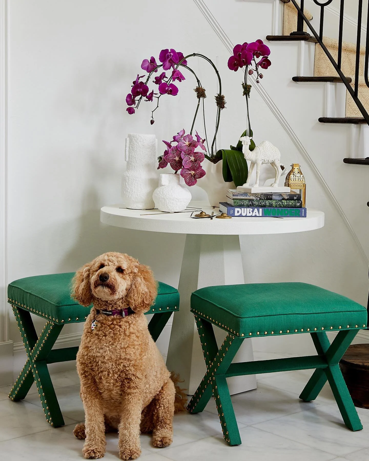 🌿🌿Entryway snaps before and after from another work in progress home remodel ~ entryway layering up next &bull; {i would be remiss without mentioning Willow sat in perfect form for @katienixon_photo 💫} 

@susanriddleinteriors 
@christinewright2