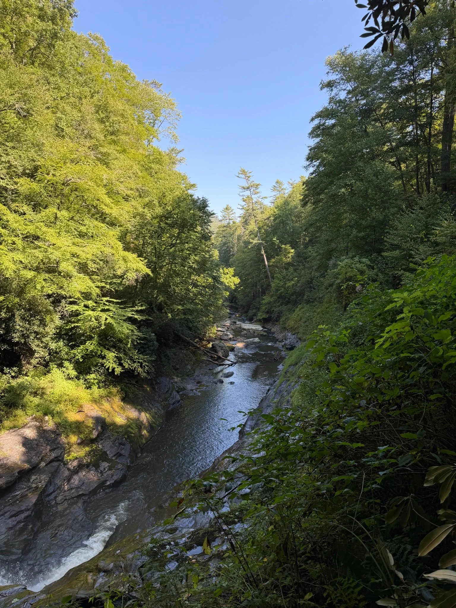 IMG_0329.jpeg