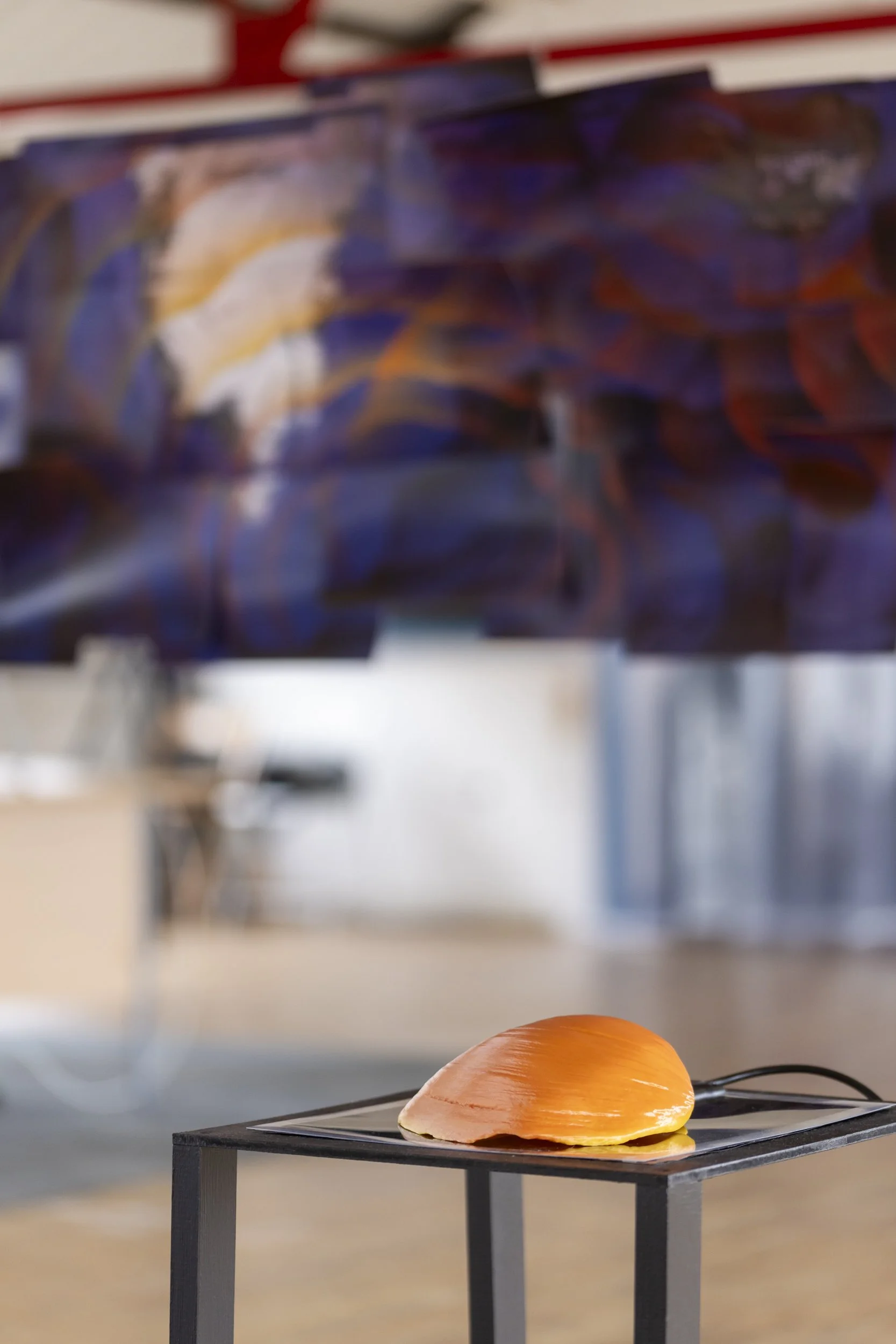 'Warning Signals', Digital print, 3D print of Ocean Quahog Shell with thermochromic HTPLA, as displayed at the Old Sail Loft, Southampton, Photo by Luke Shears